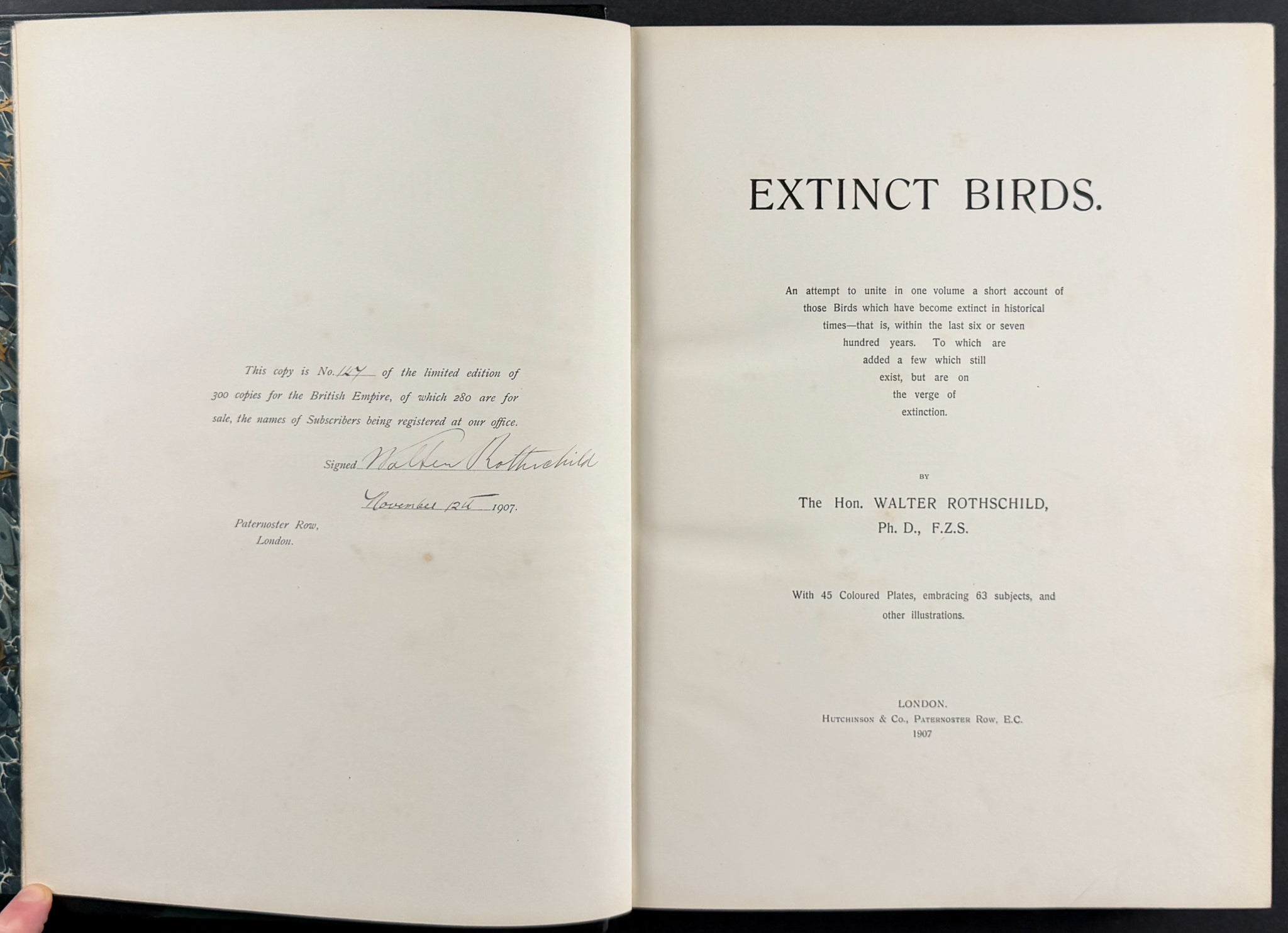 Extinct Birds