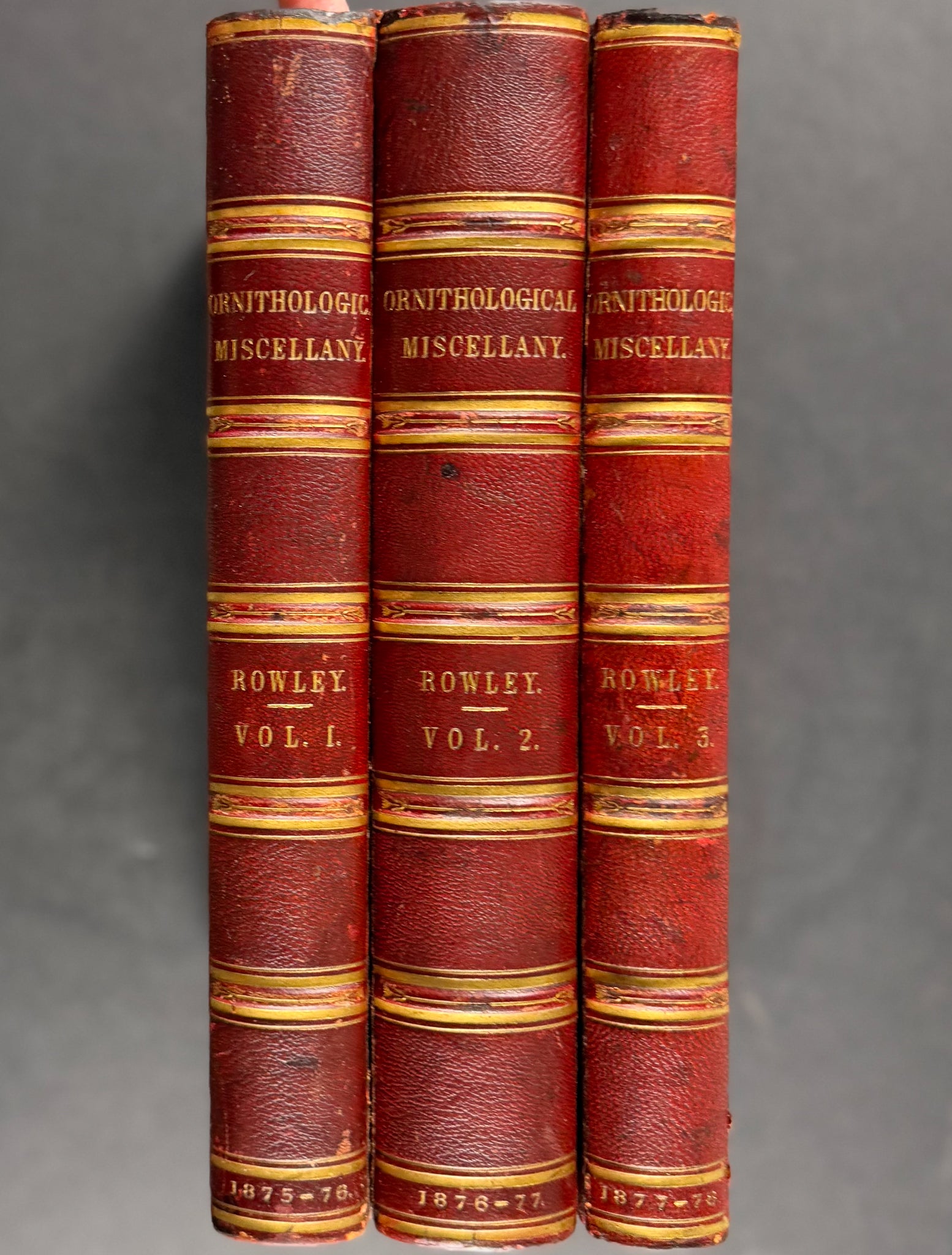 Ornitholigical Miscellany