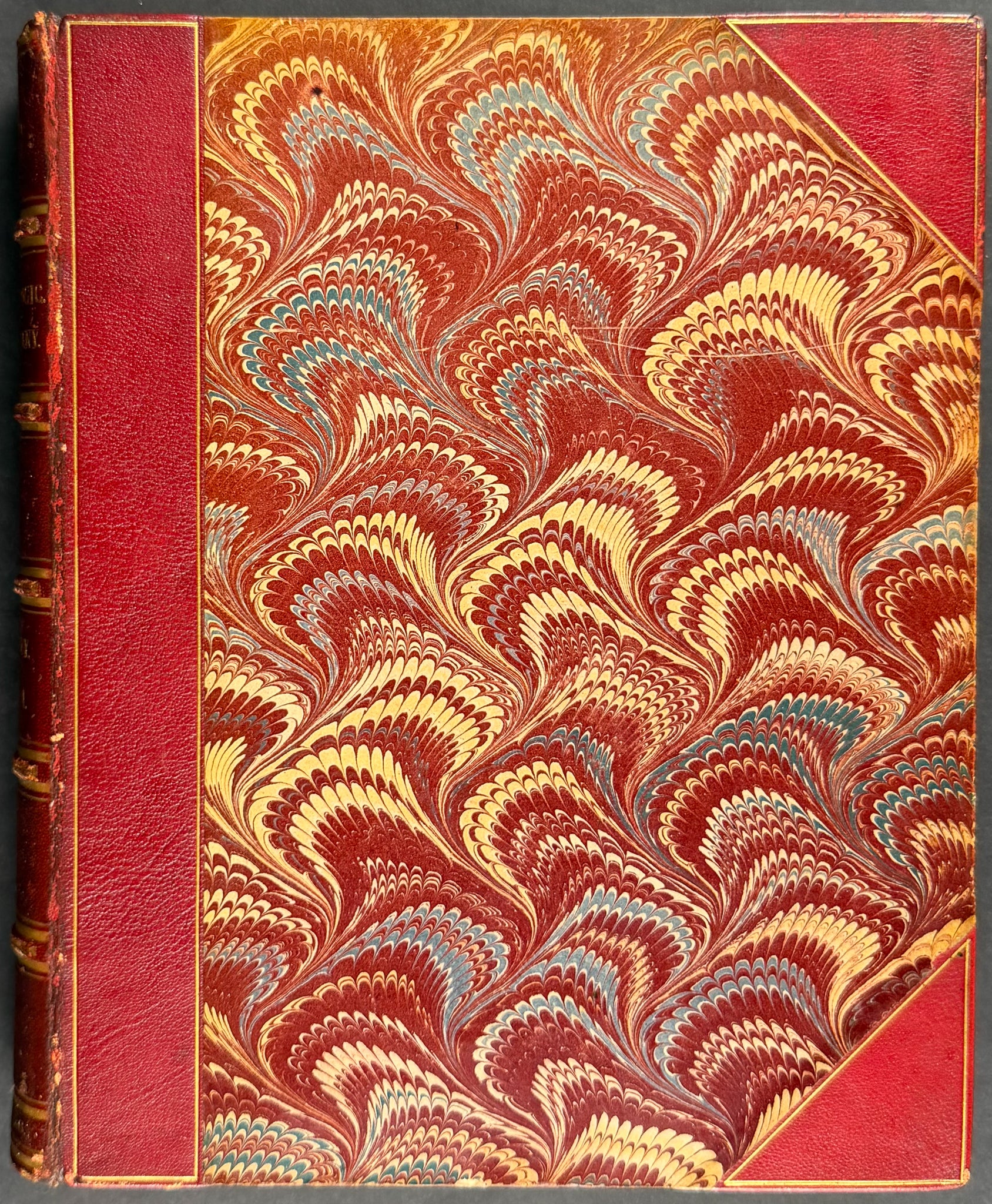 Ornitholigical Miscellany