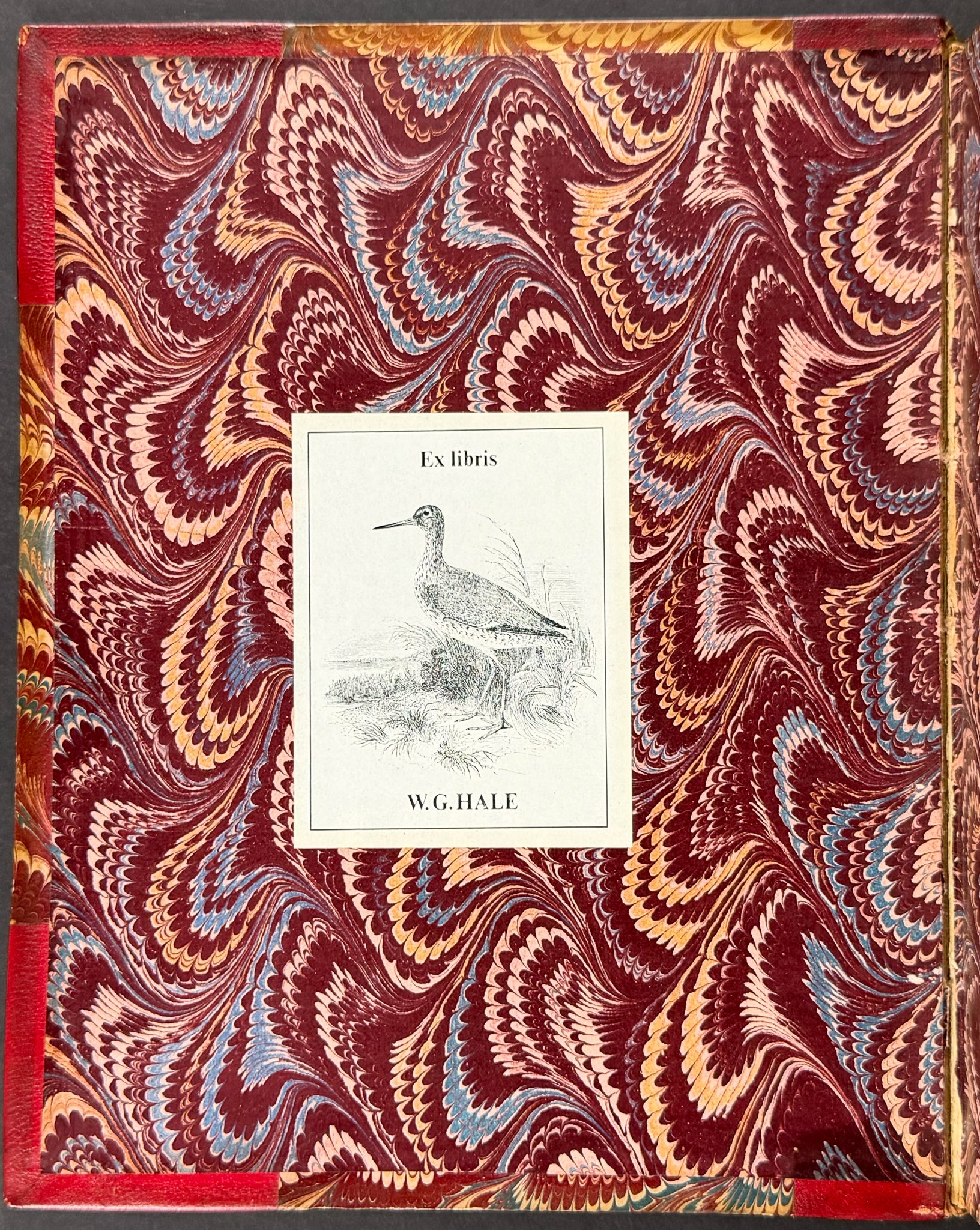 Ornitholigical Miscellany