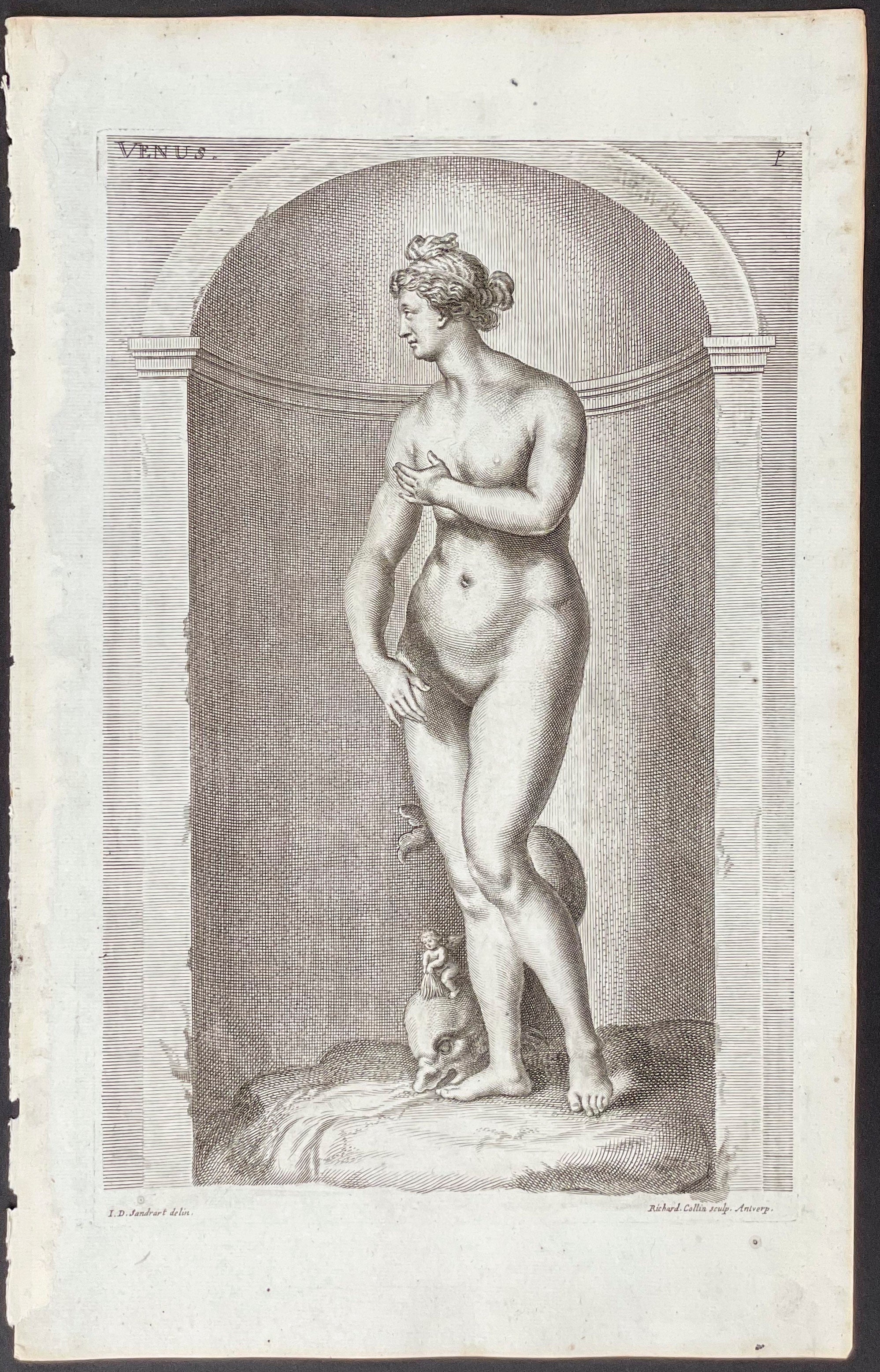 Venus