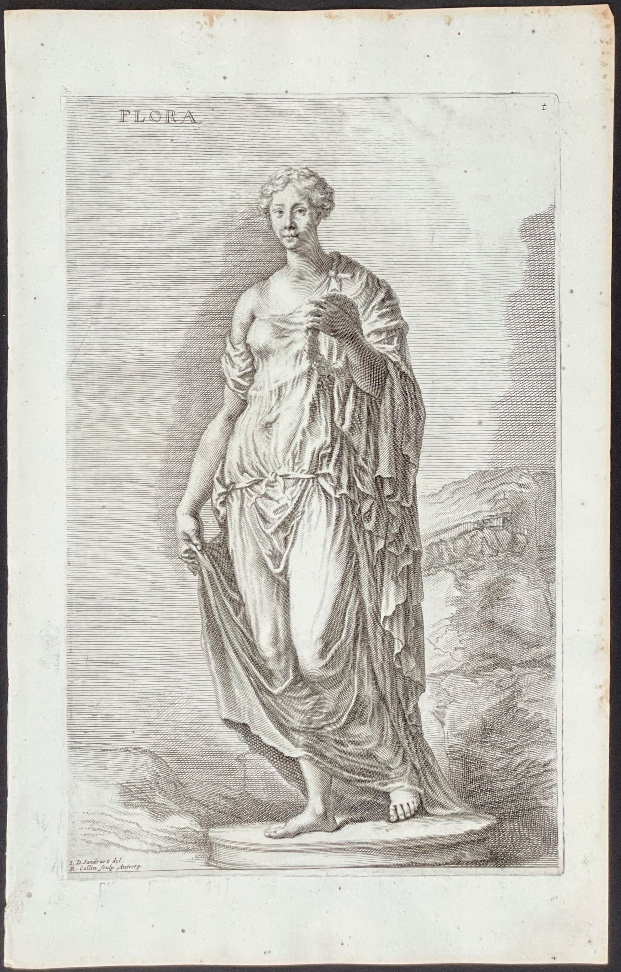 Flora