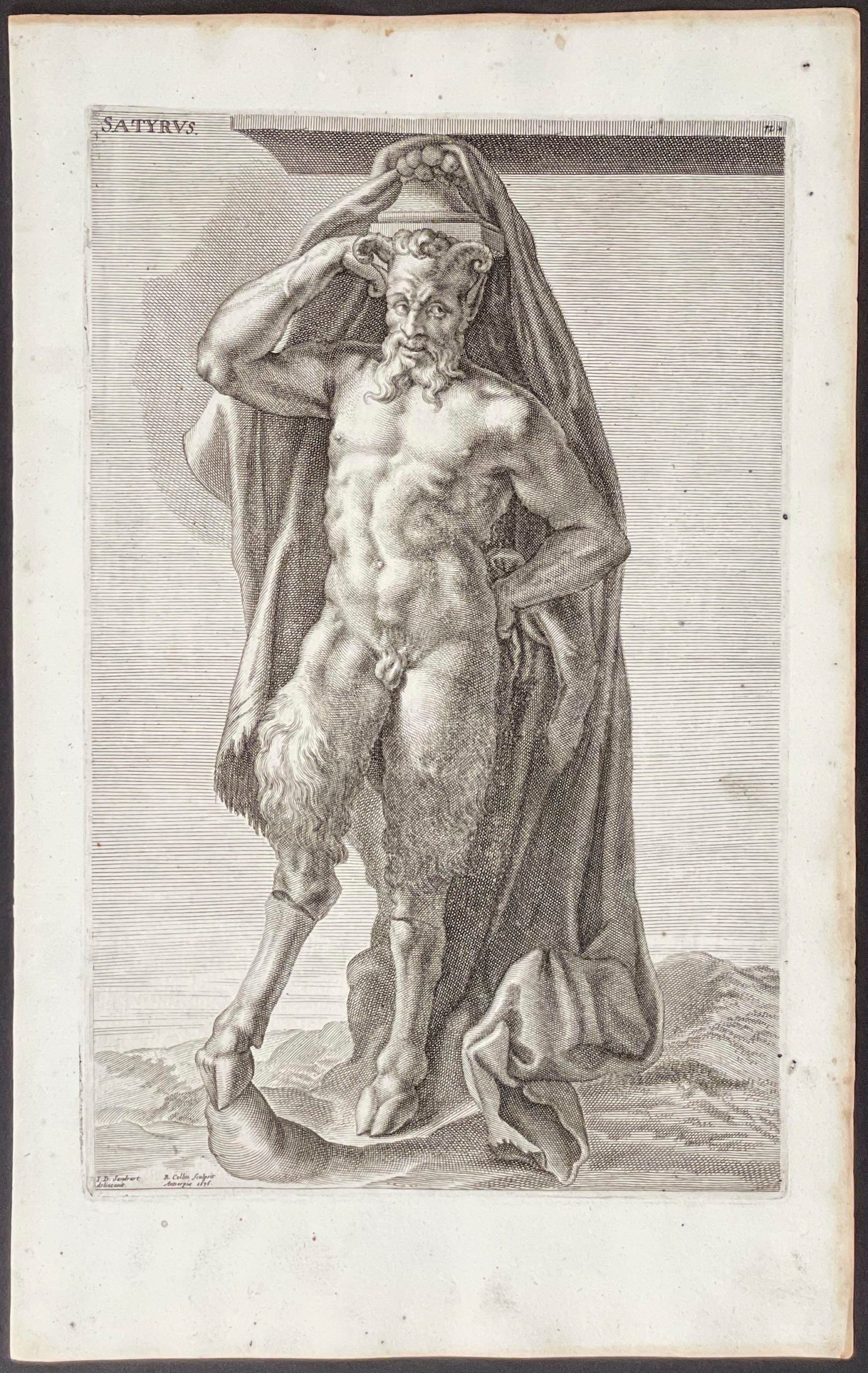 Satyrus
