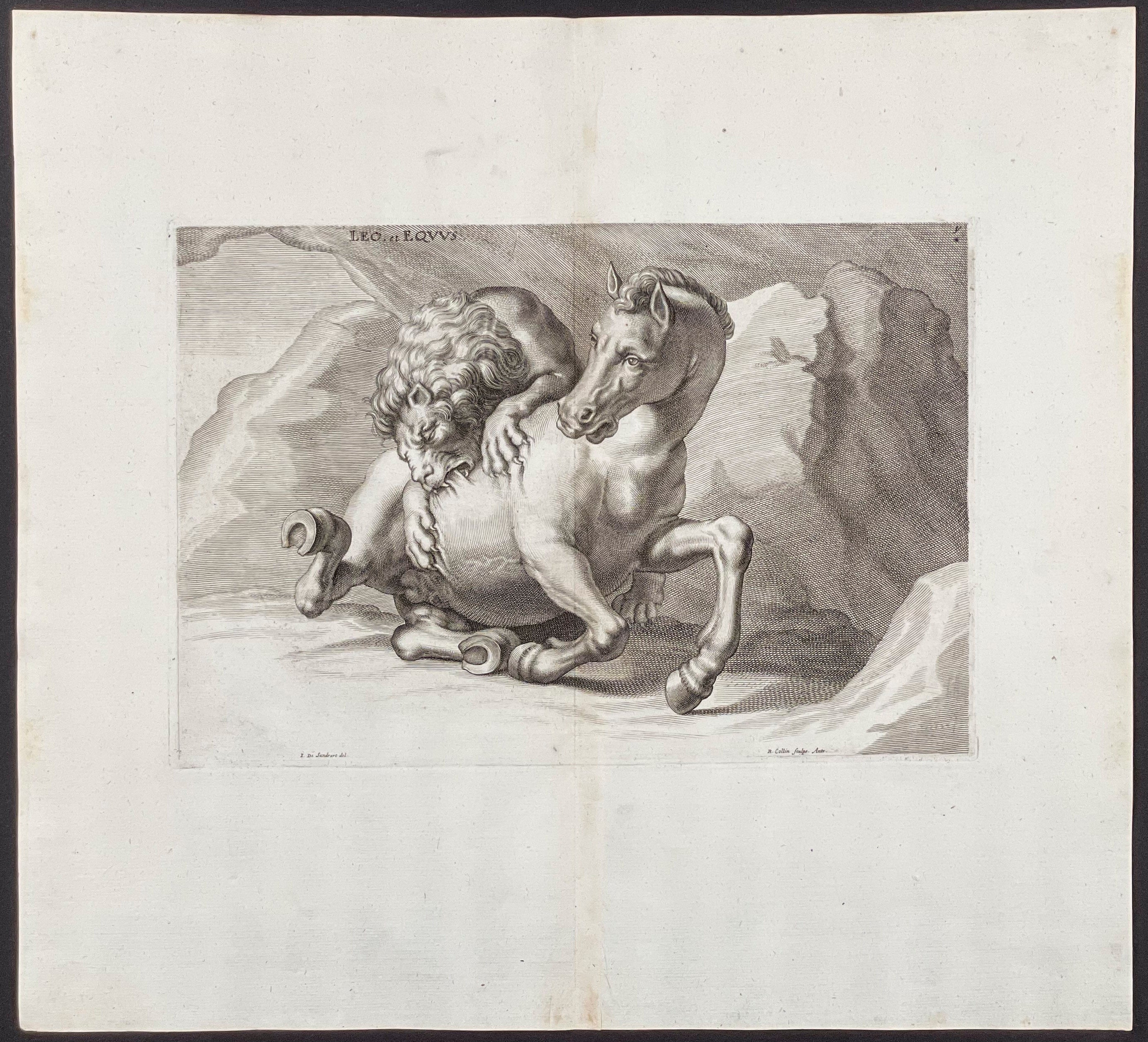 Leo & Equus