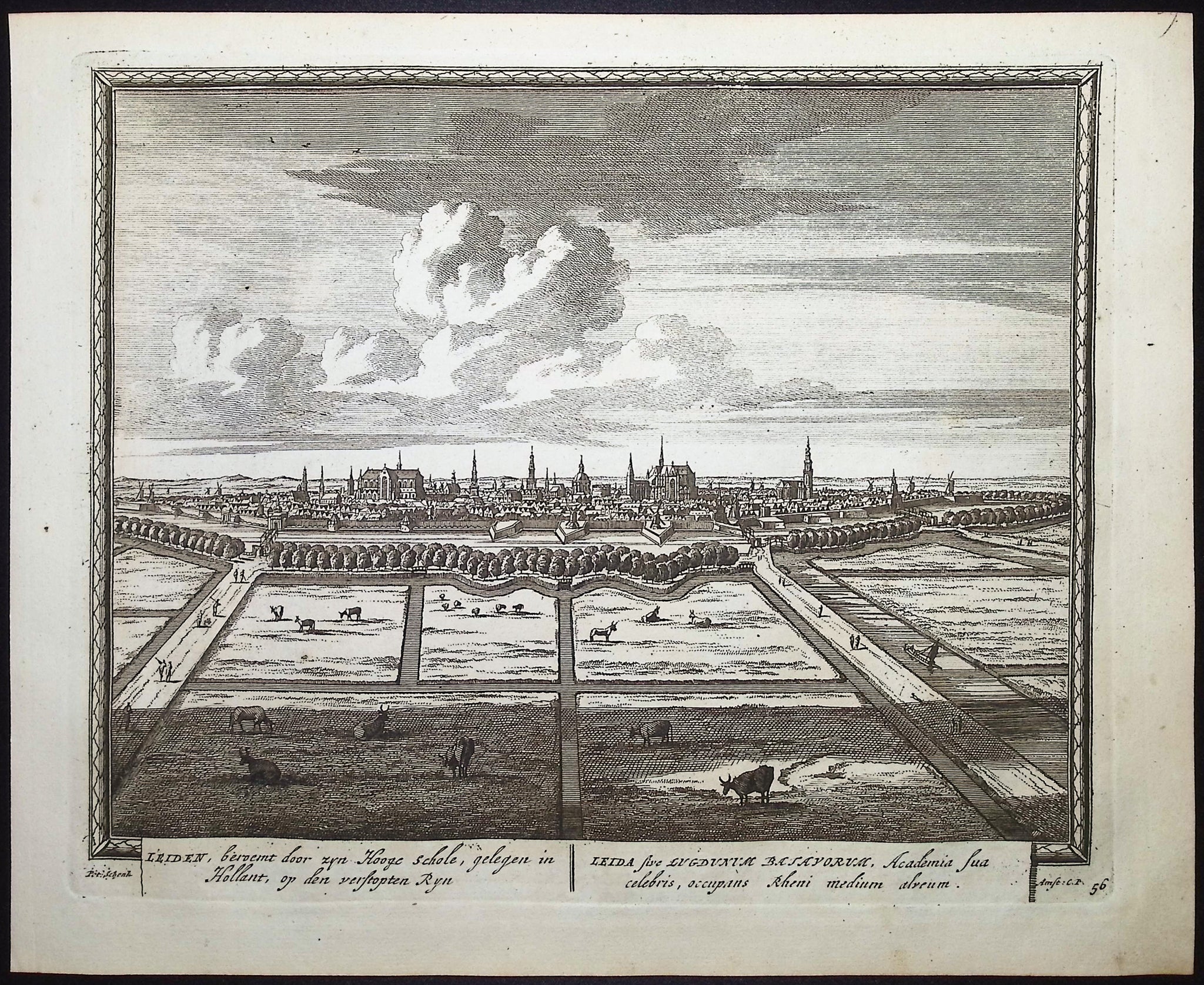 View of Leiden, Belgium (Leiden)