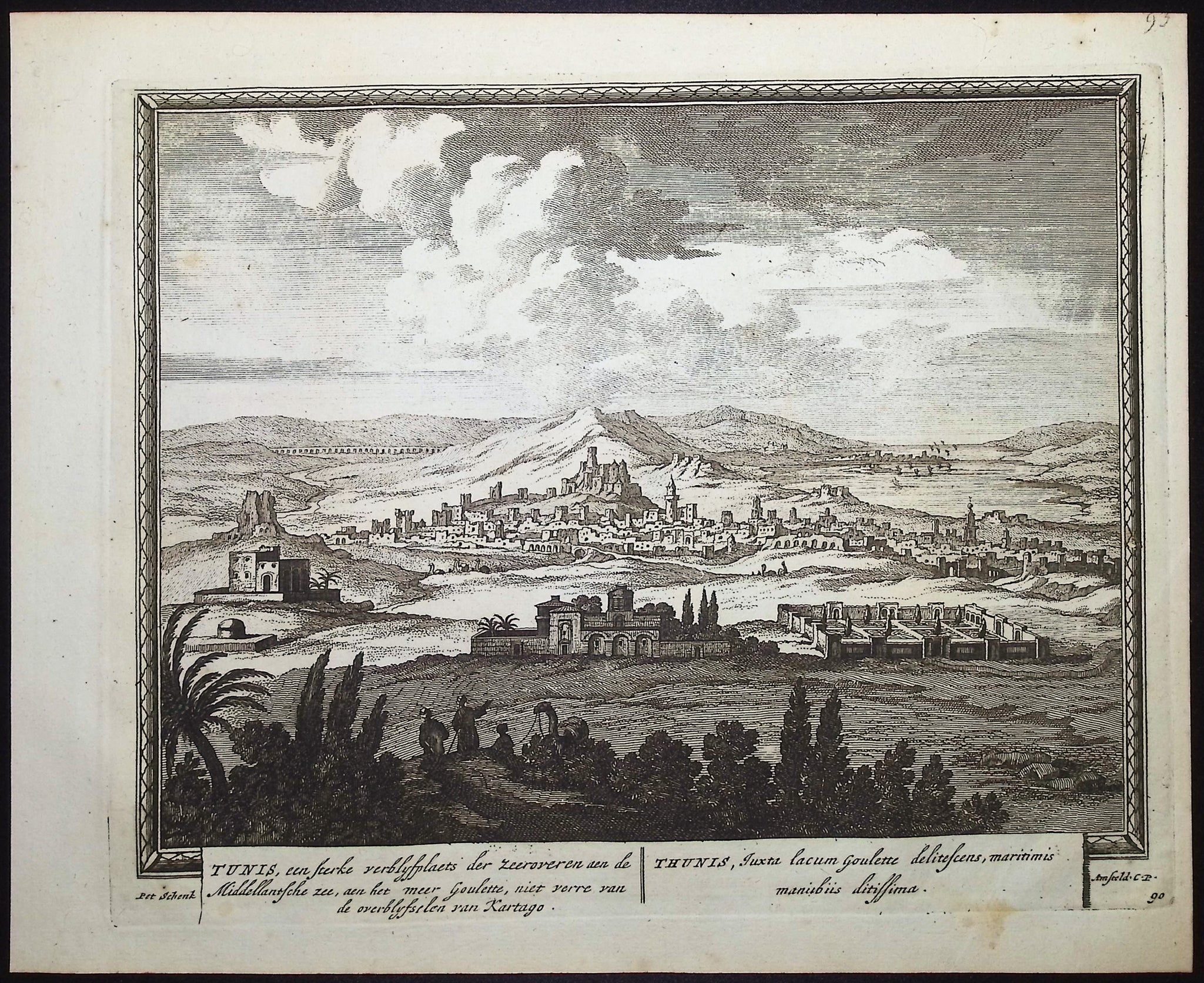View of Tunis, Tunisia (Tunis)