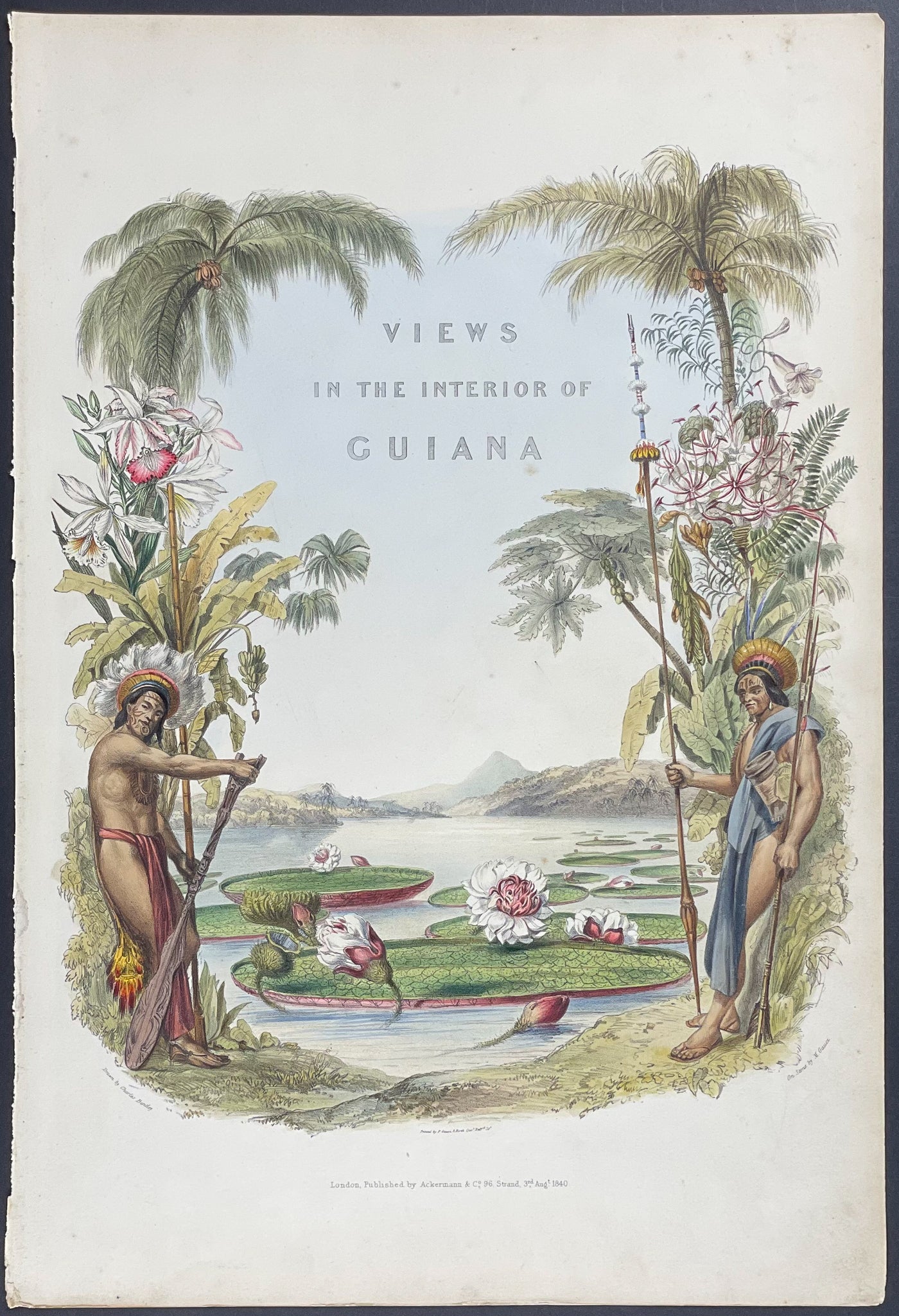 Frontispiece with Water Lily Pads, Palms, Orchids, and Native People