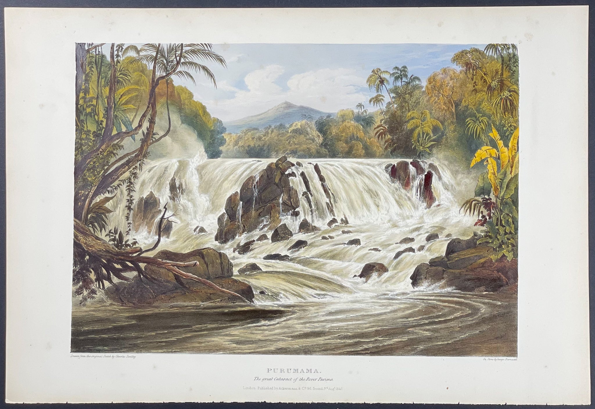 Purumama, The Great Cataract of the River Parima