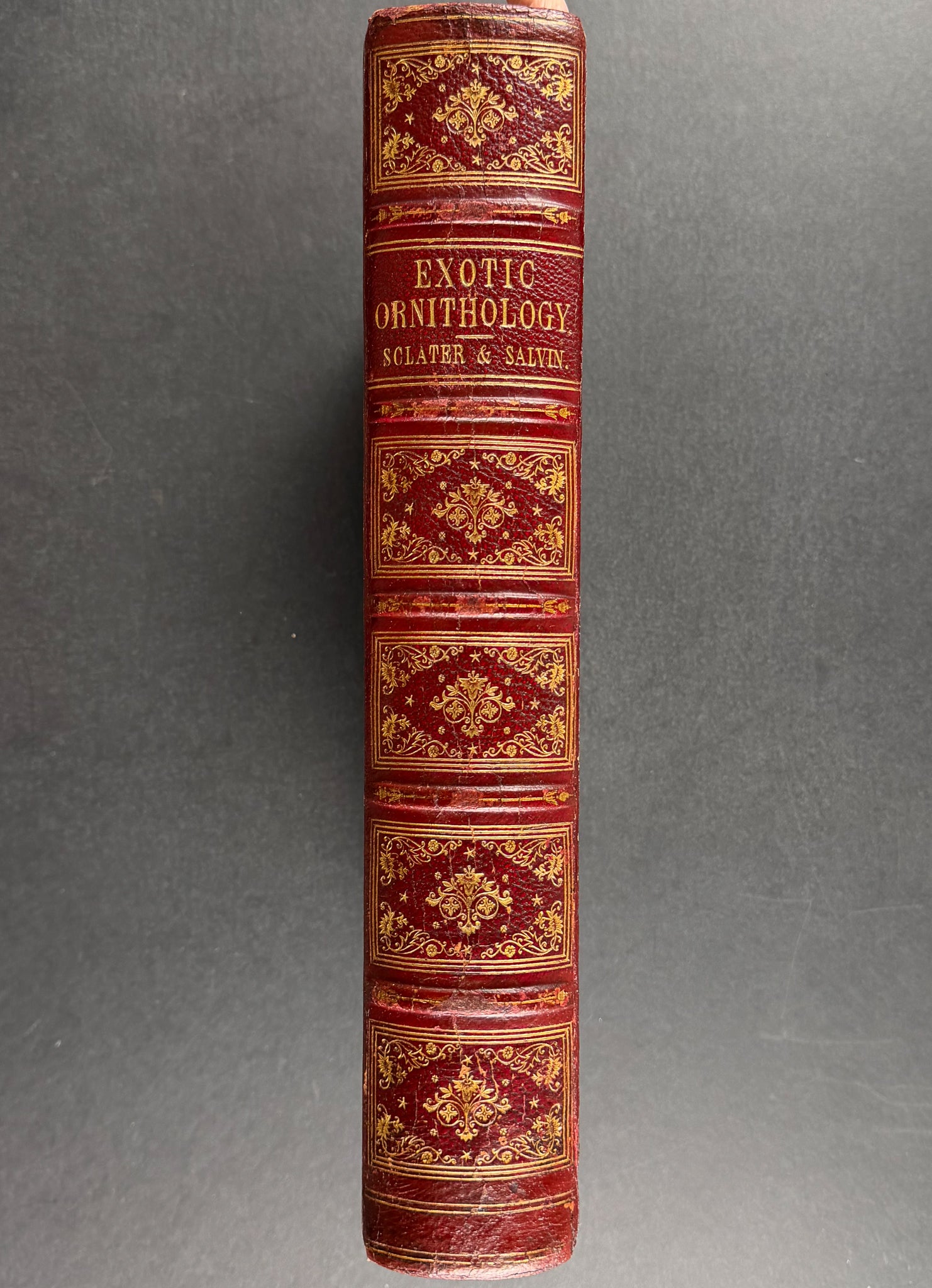 Exotic Ornithology, containing Figures and Descriptions of New or Rare Species of American Birds