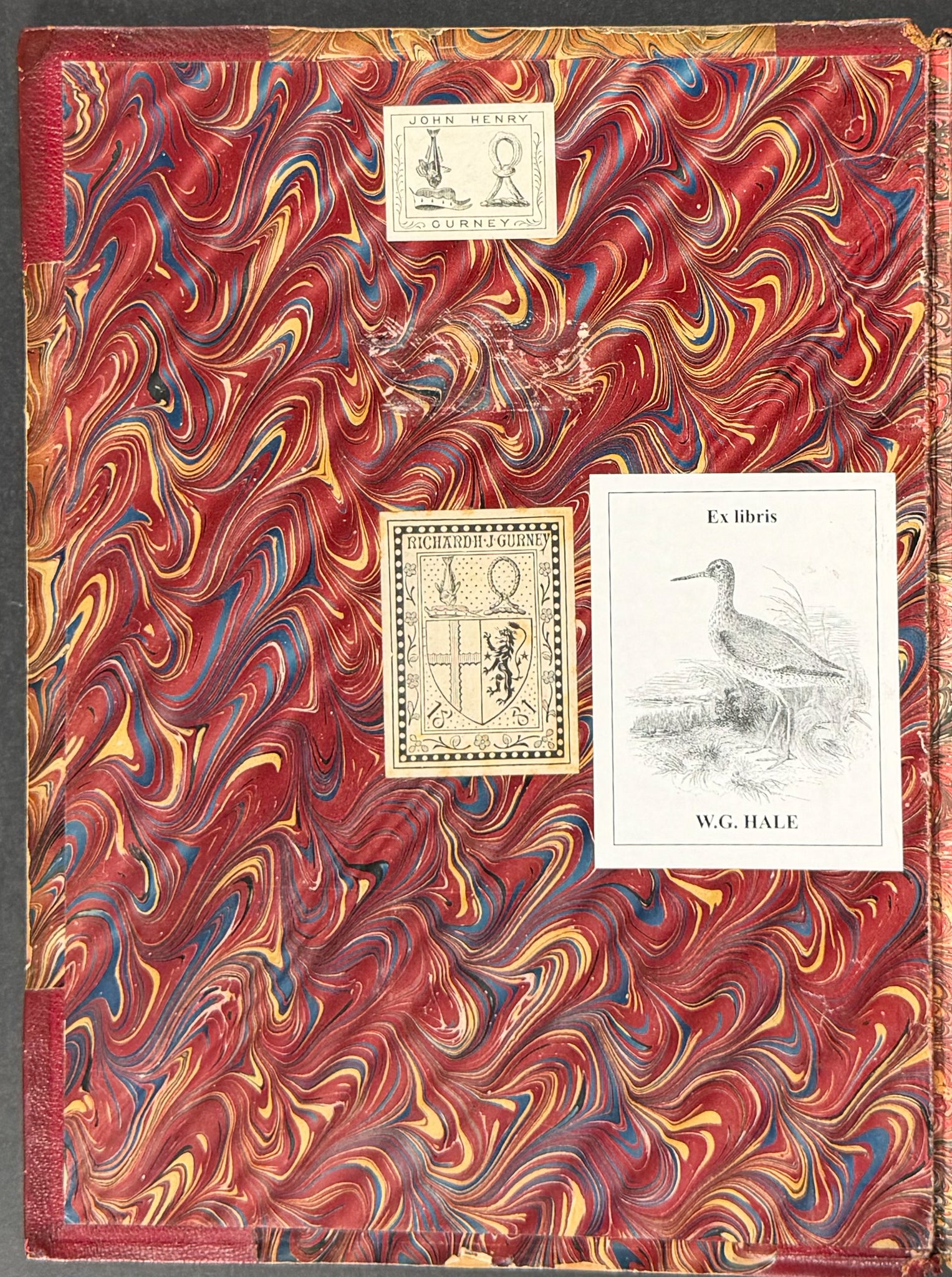 Exotic Ornithology, containing Figures and Descriptions of New or Rare Species of American Birds