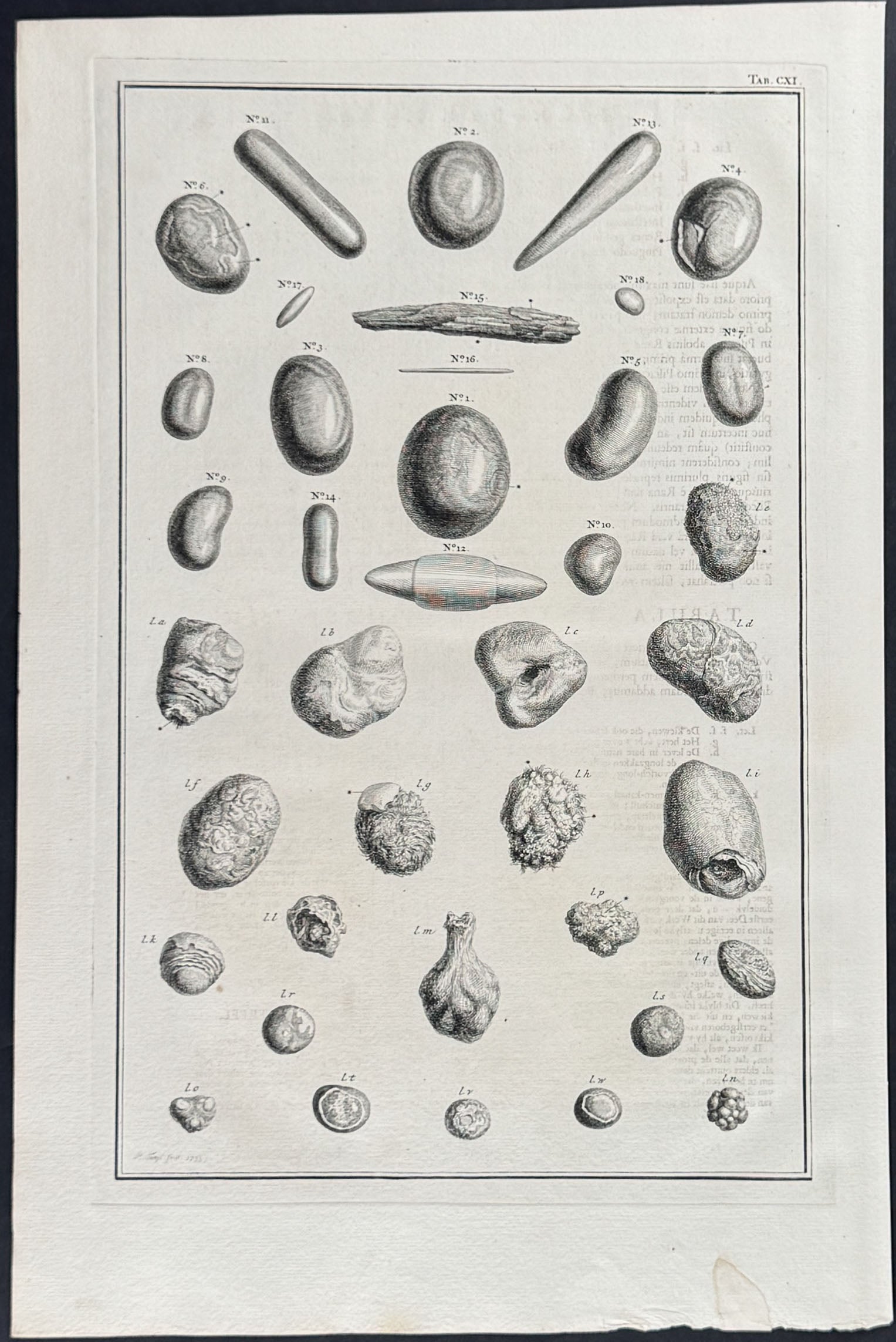 Scientific Specimens