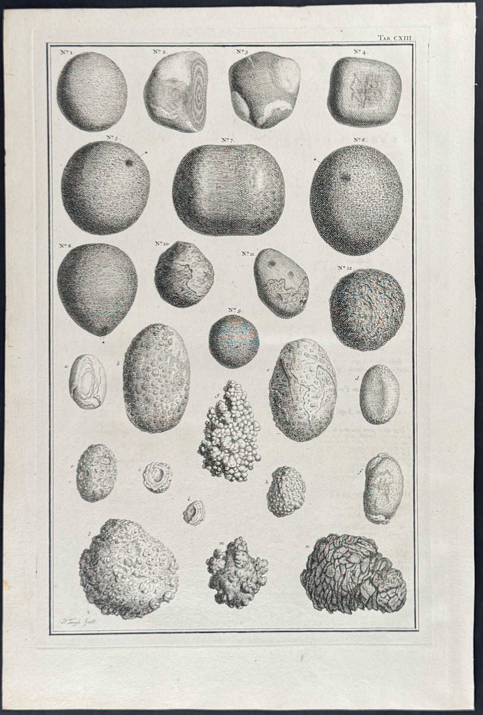 Stones from Animals