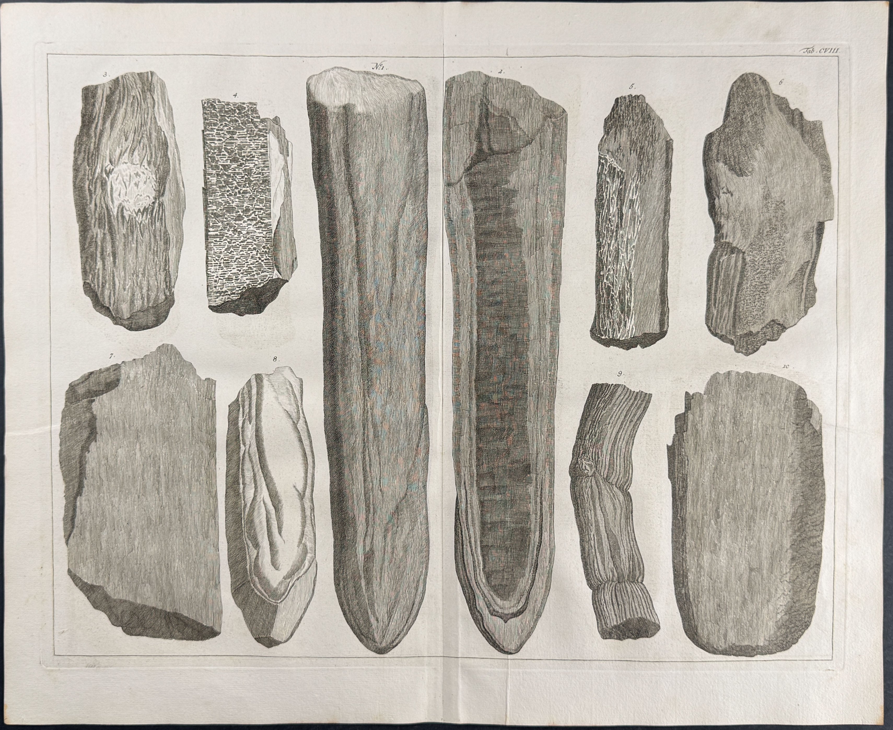 Fossils or Minerals