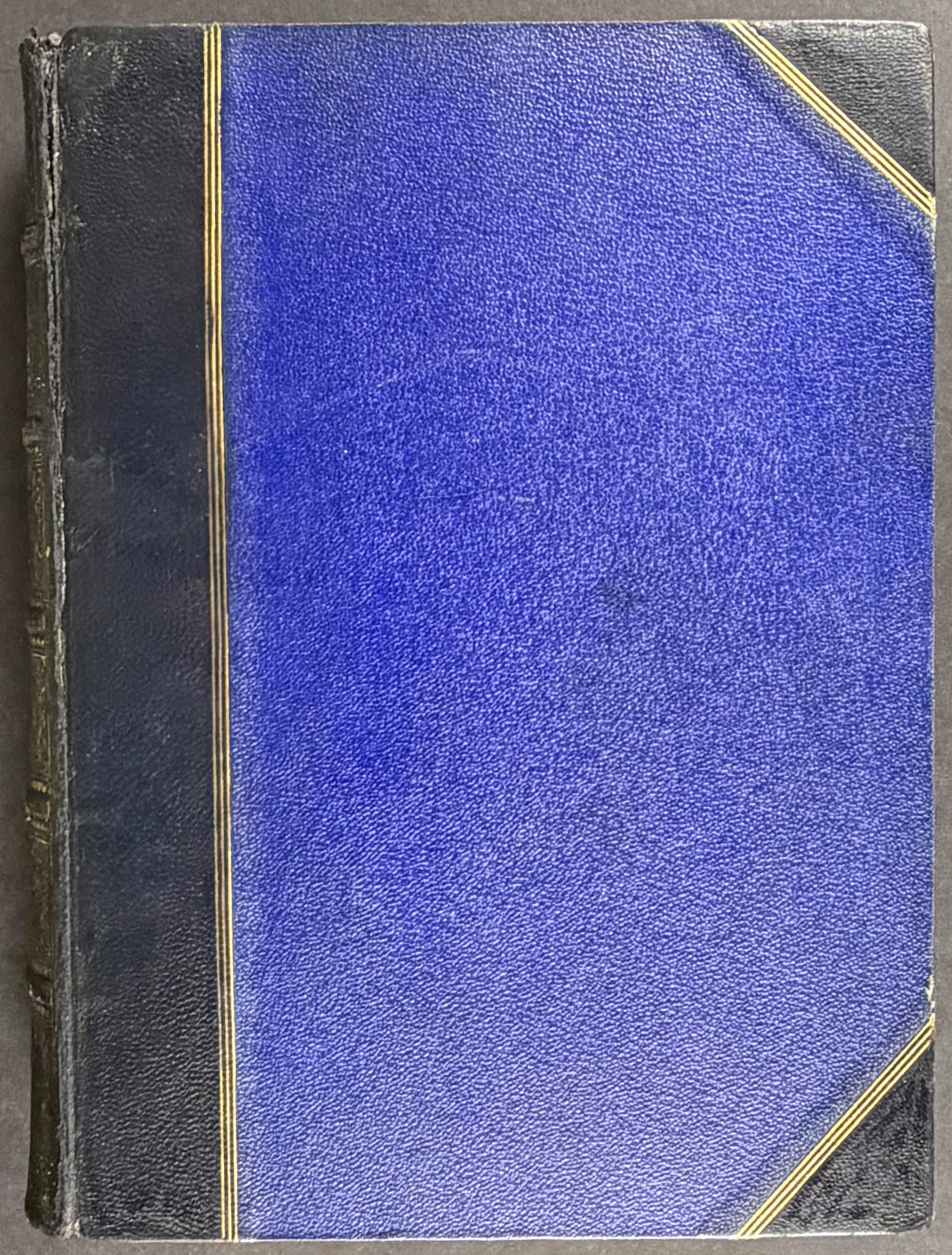 A Monograph of the Alcedinidae: or, Family of Kingfishers