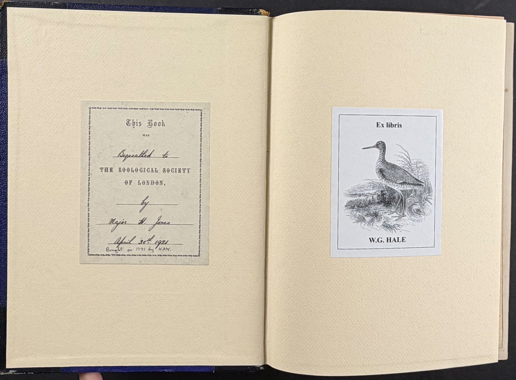 A Monograph of the Alcedinidae: or, Family of Kingfishers