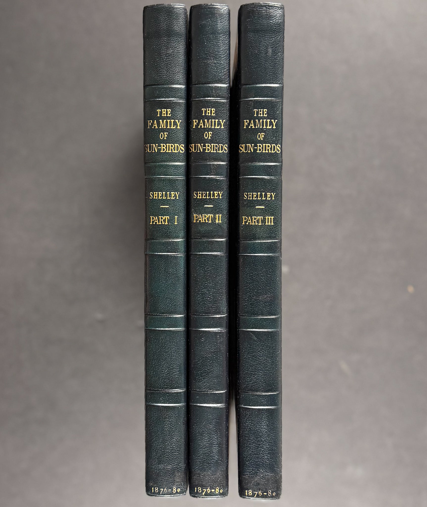 A Monograph of the Nectariniidae, or Family of Sun-Birds