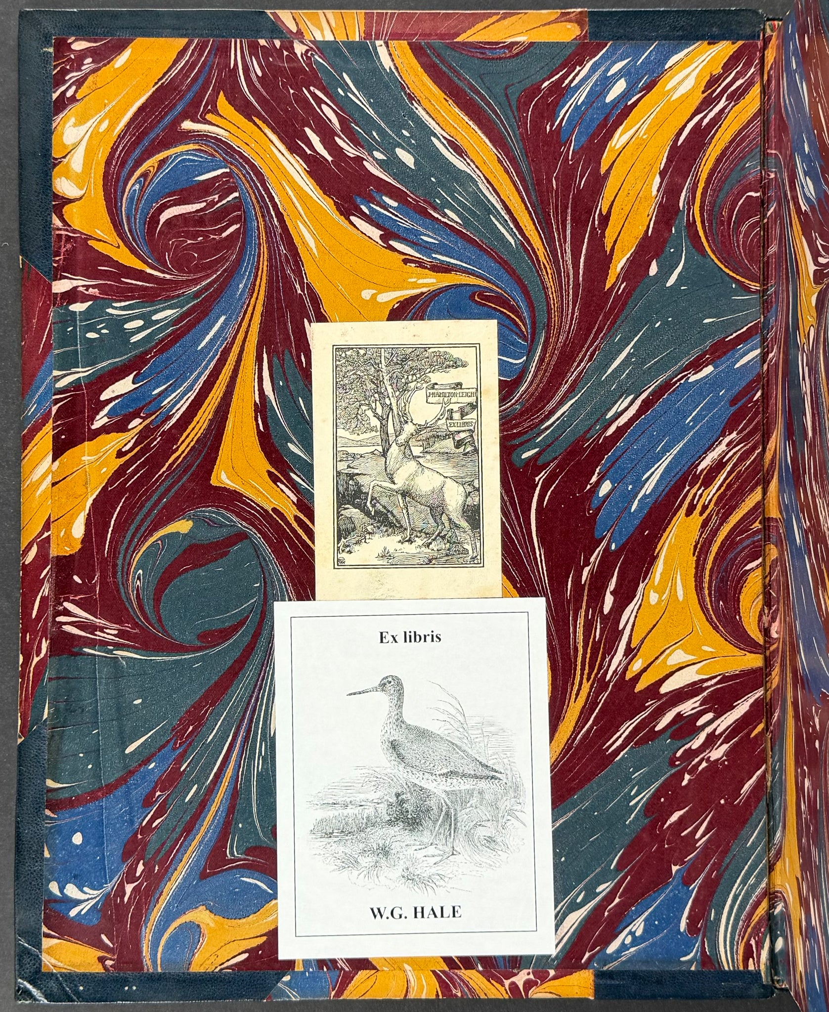 A Monograph of the Nectariniidae, or Family of Sun-Birds