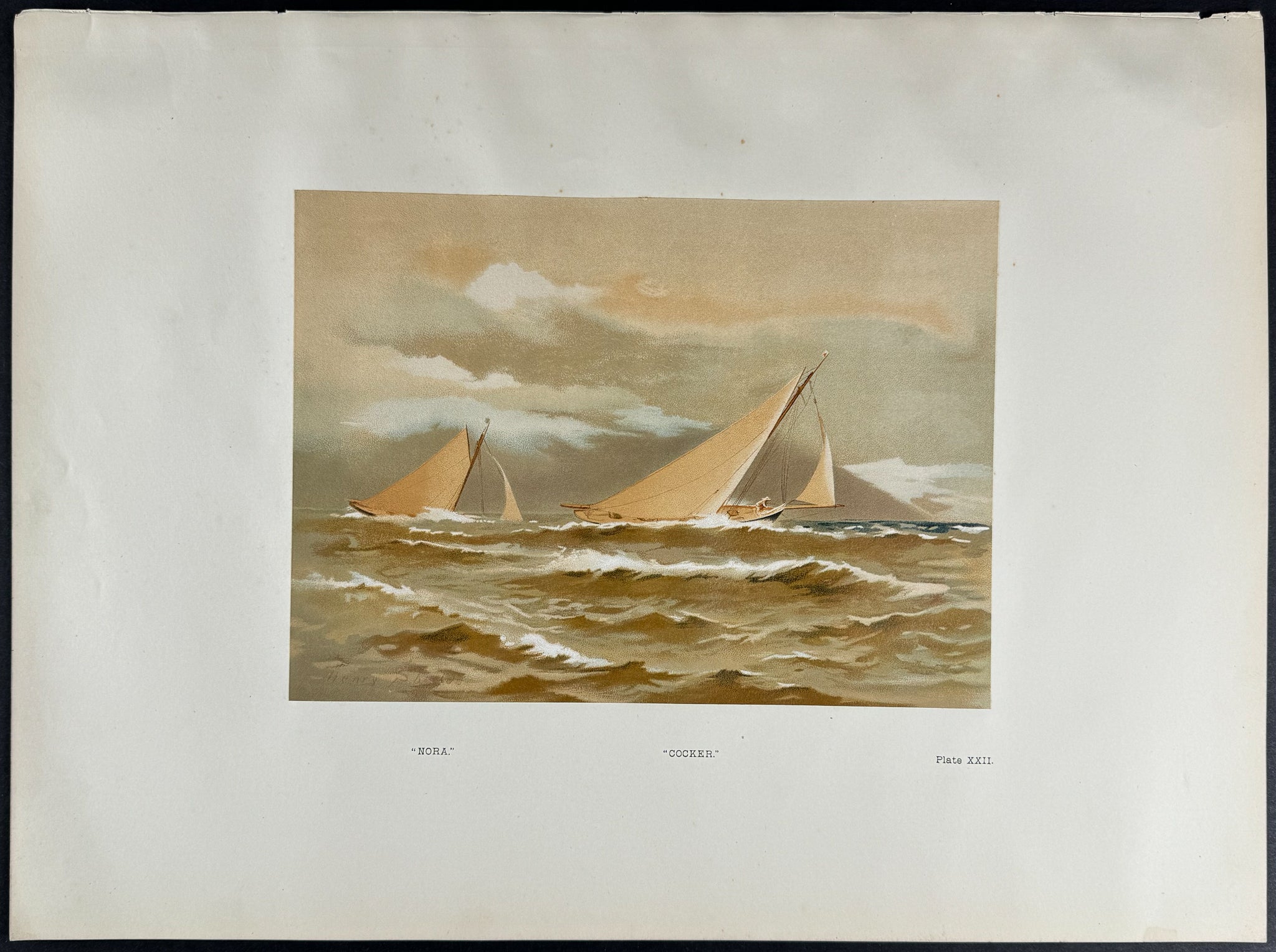 Yachts called "Nora, Cocker"