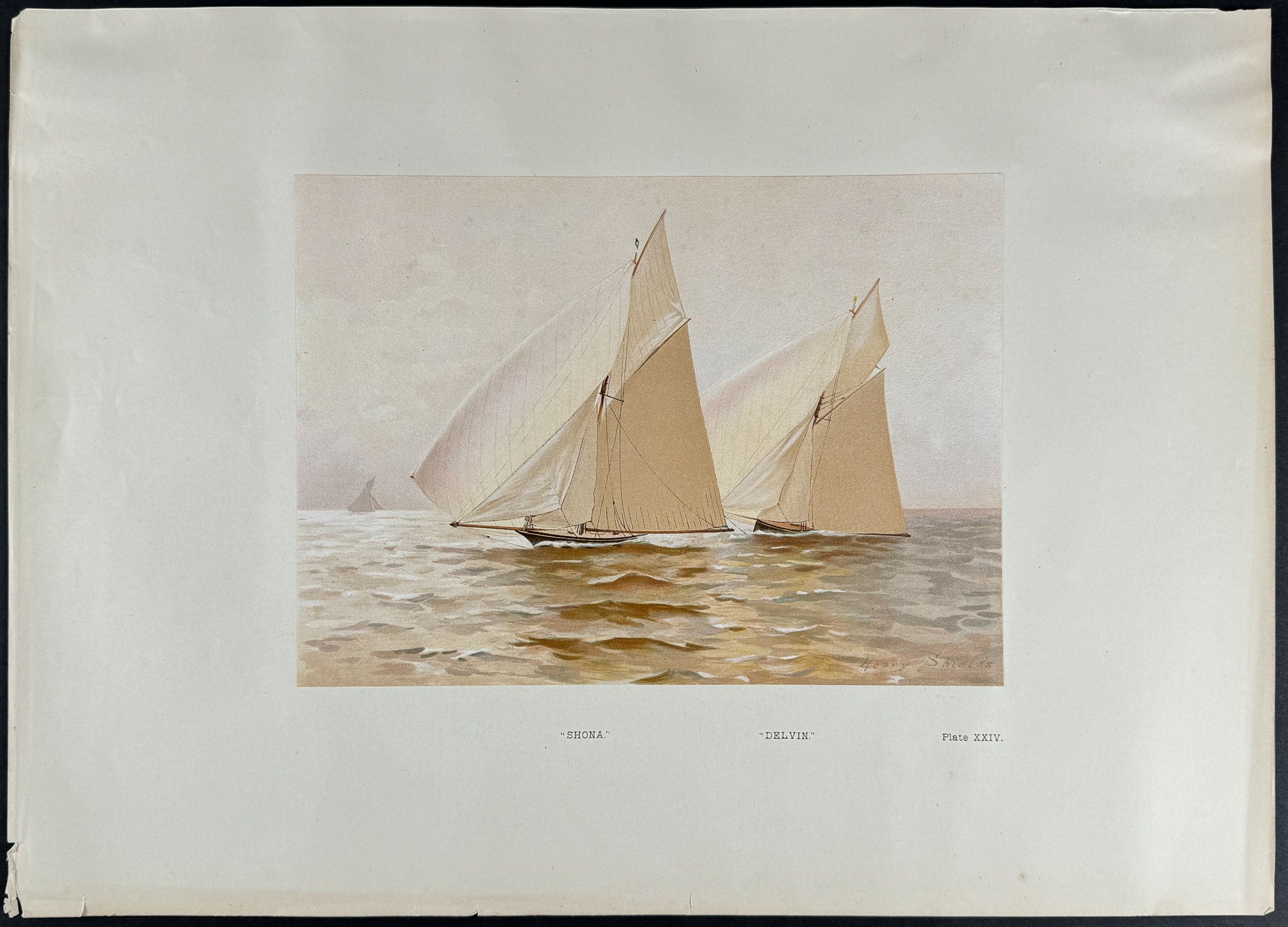 Yachts called "Shona, Delvin"