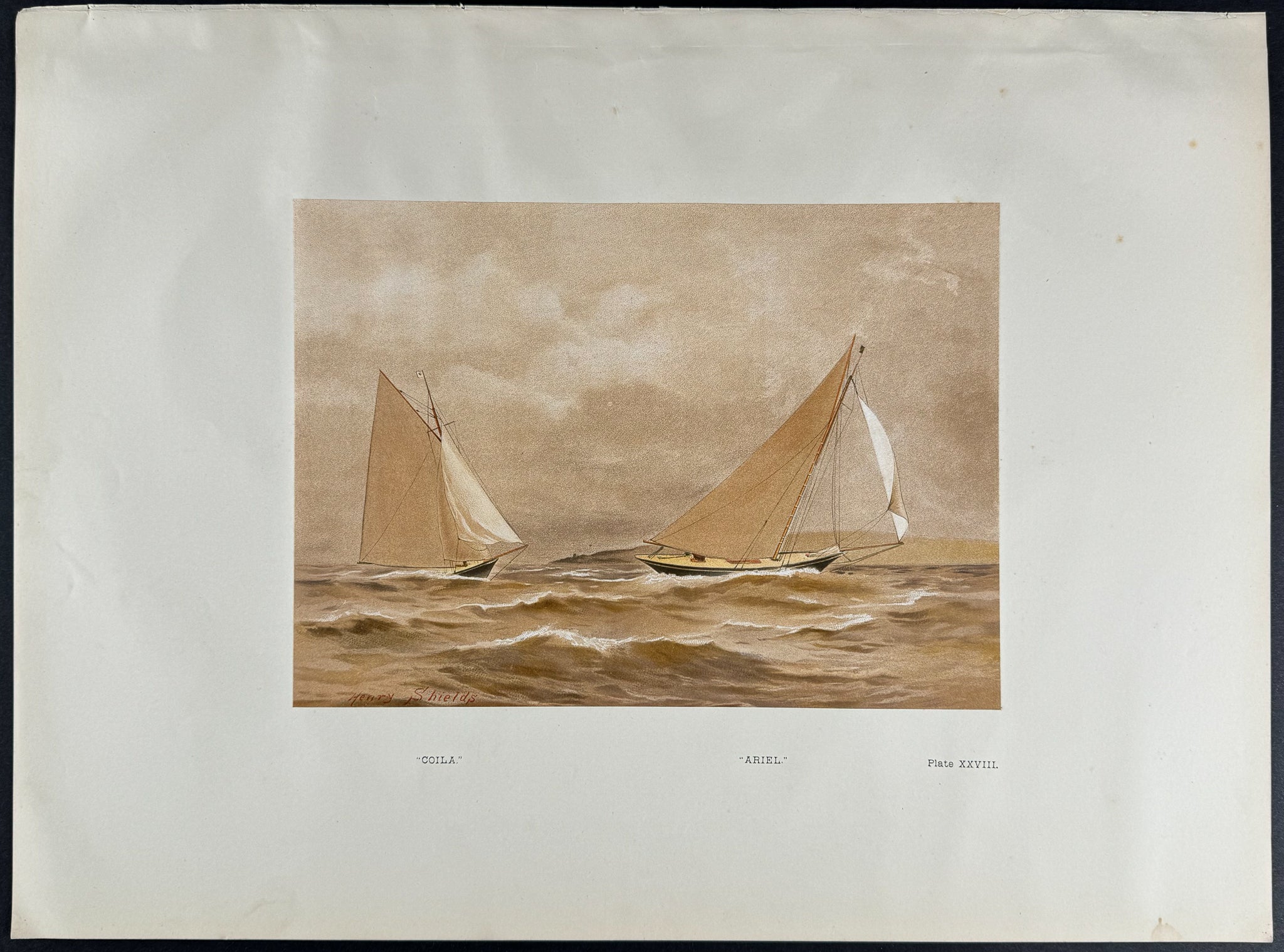 Yachts called "Ariel, Coila"