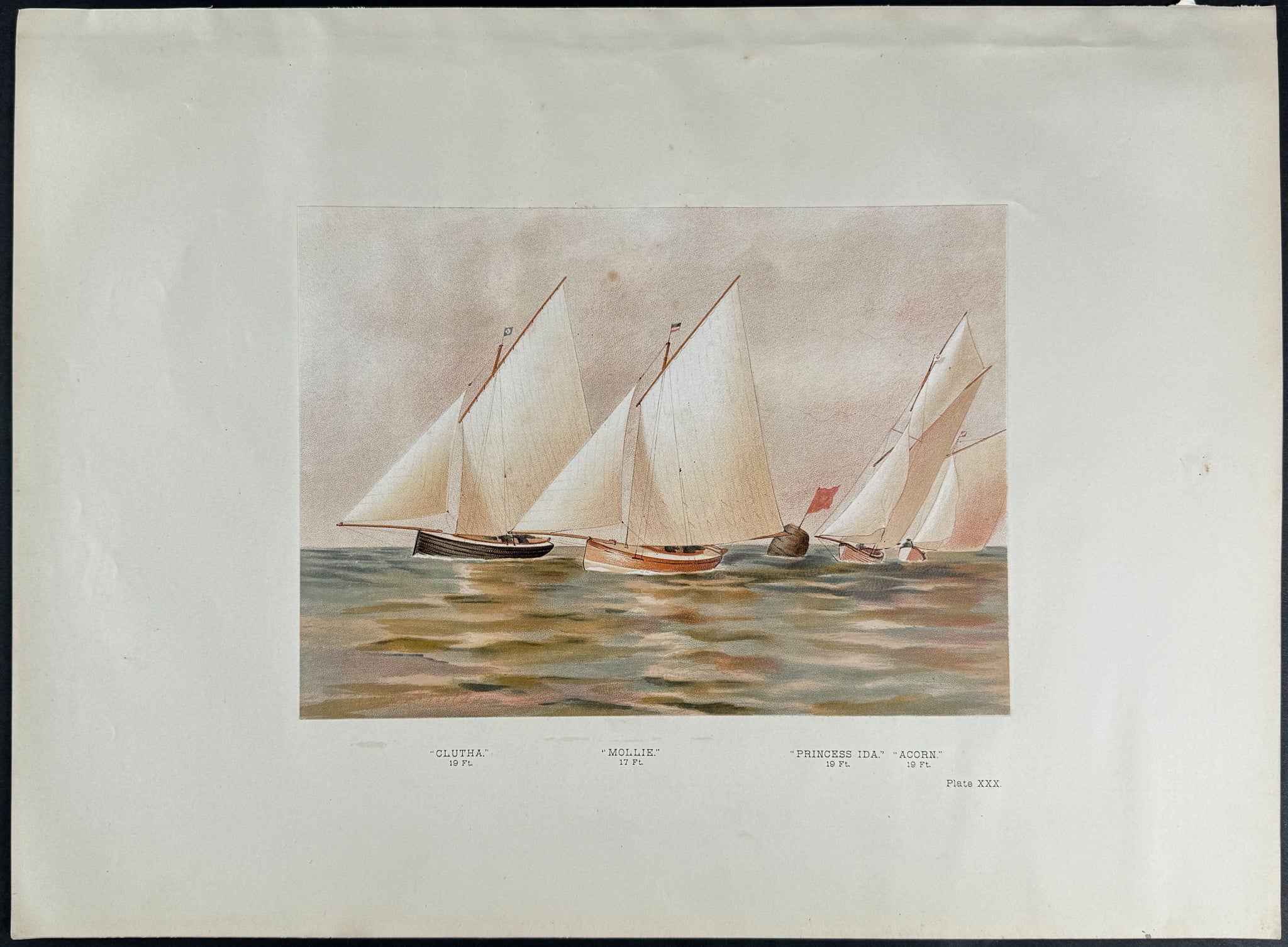 Yachts called "Princess Ida, Clutha, Acorn, Mollie"