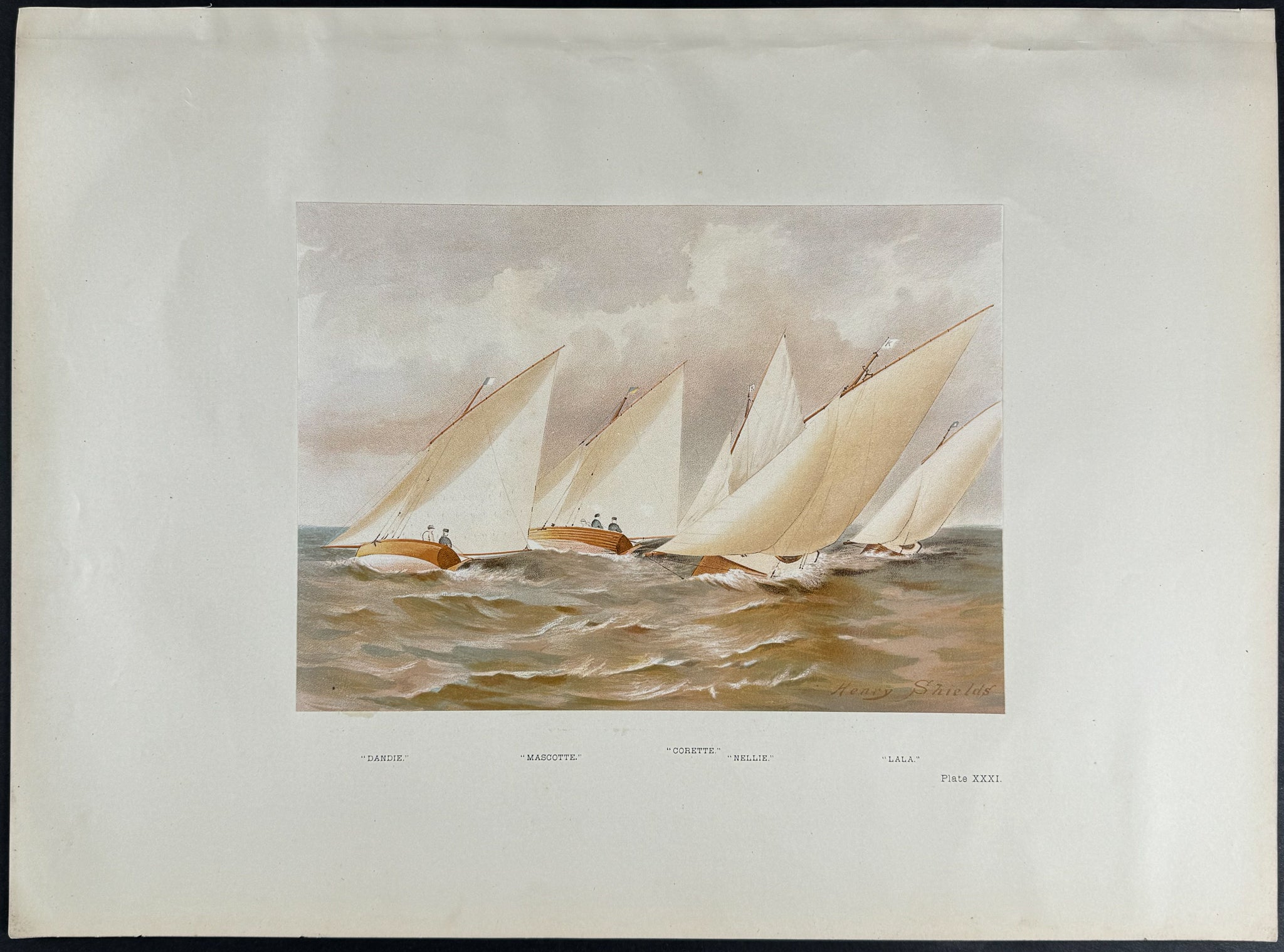 Yachts called "Dandie, Corette, Lala, Mascott, Nellie"