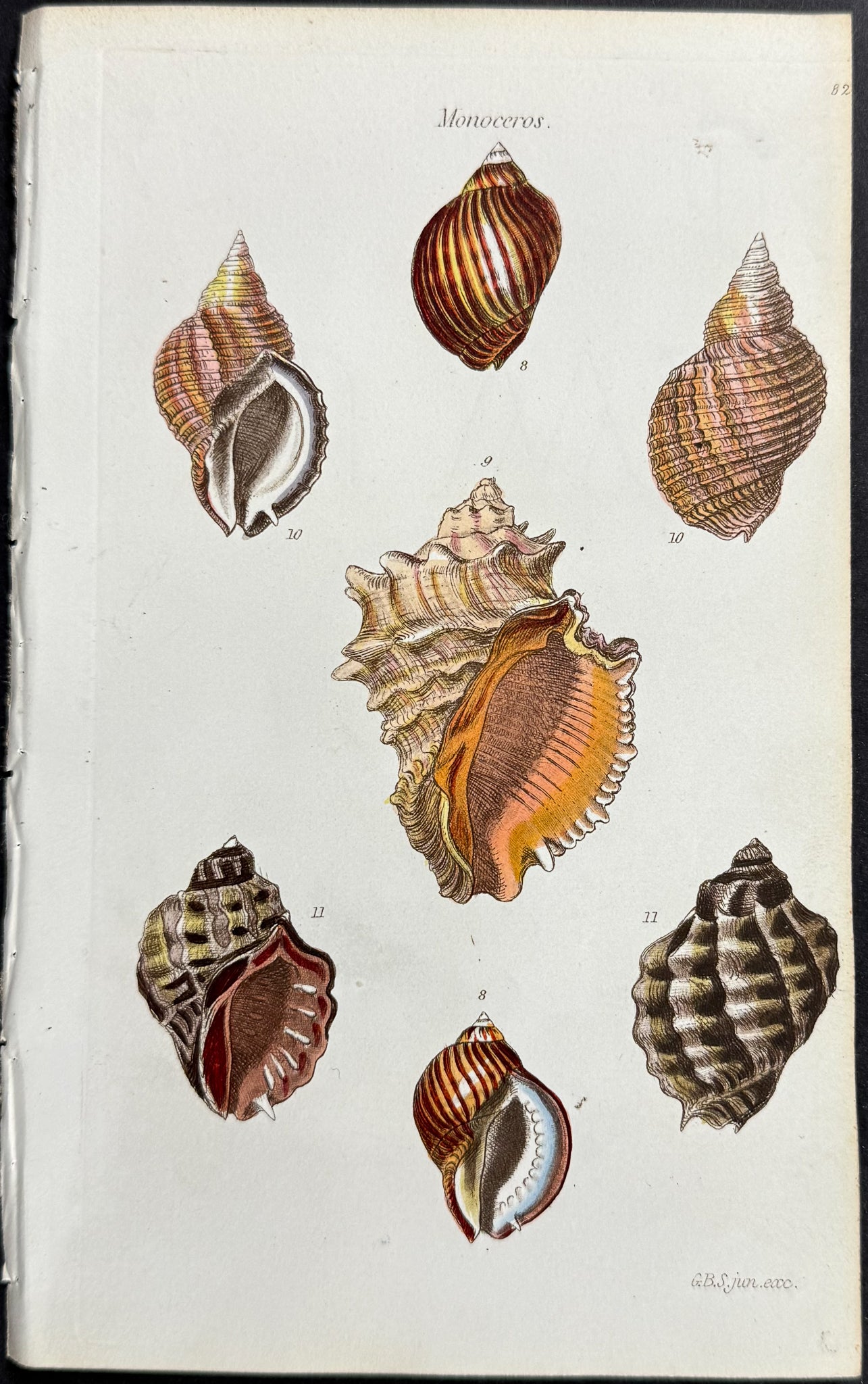 Shells