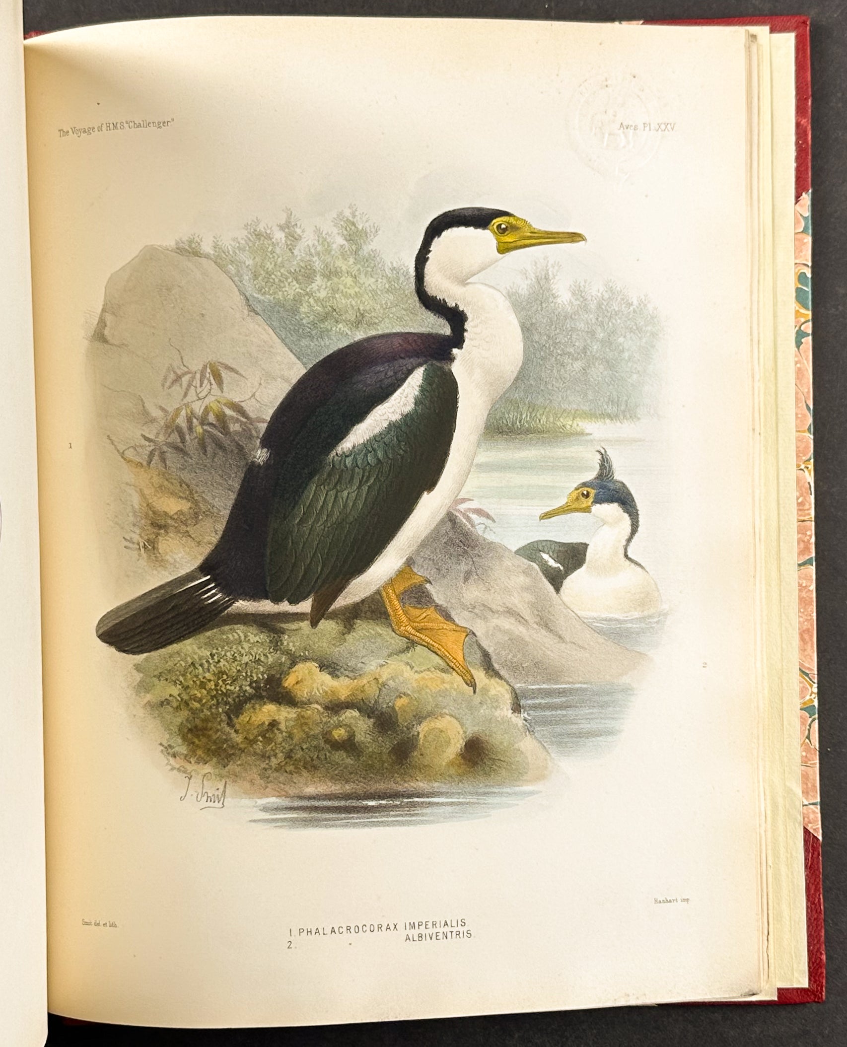 Thomson's The Voyage of the HMS Challenger