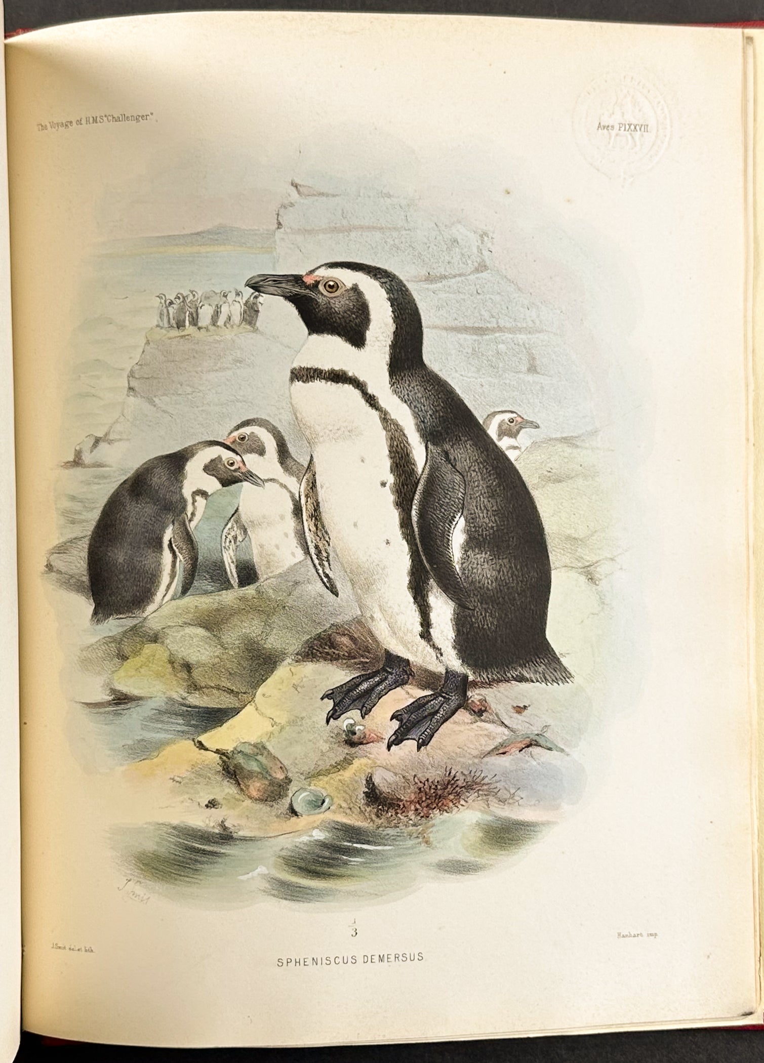 Thomson's The Voyage of the HMS Challenger