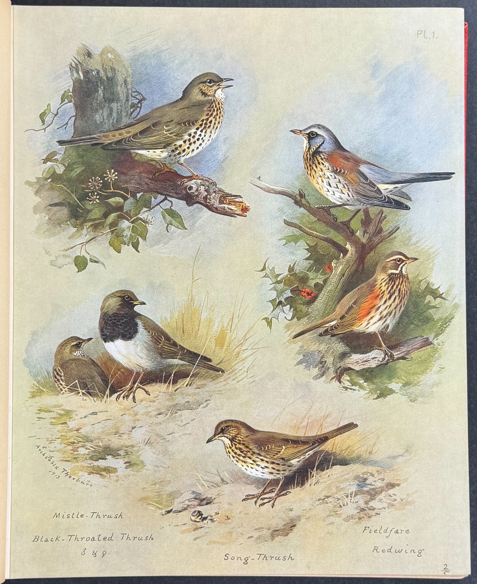 Thorburn's British Birds - Four Volumes