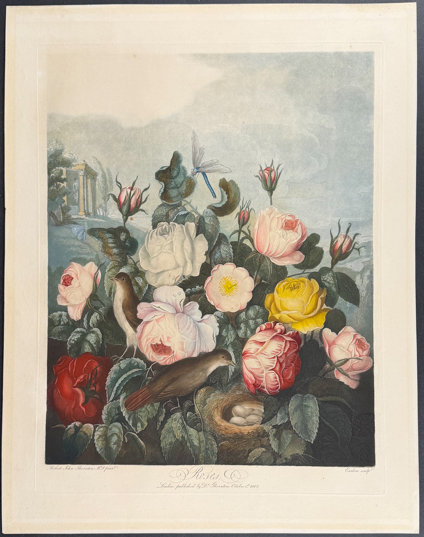 Roses with Birds, Nest & Eggs