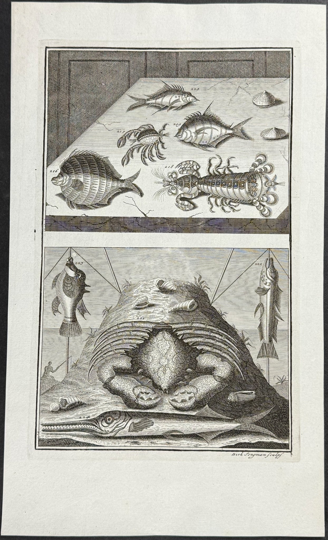 Fish, Sea Life, Crab, Lobster