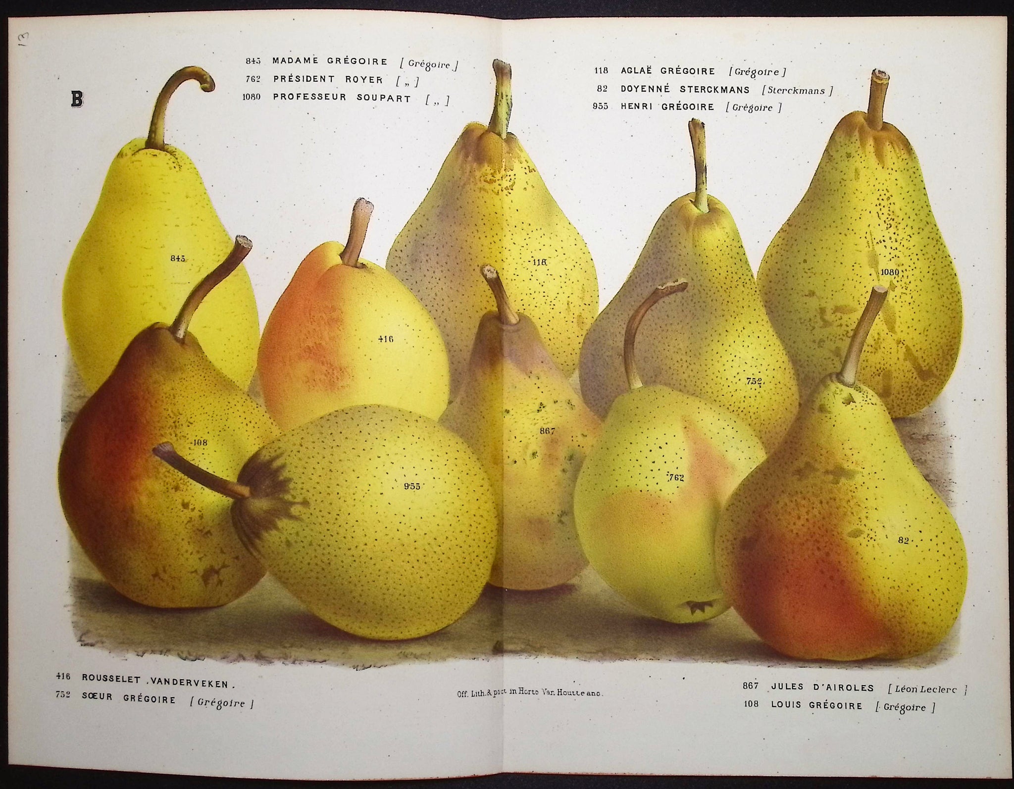 Pears
