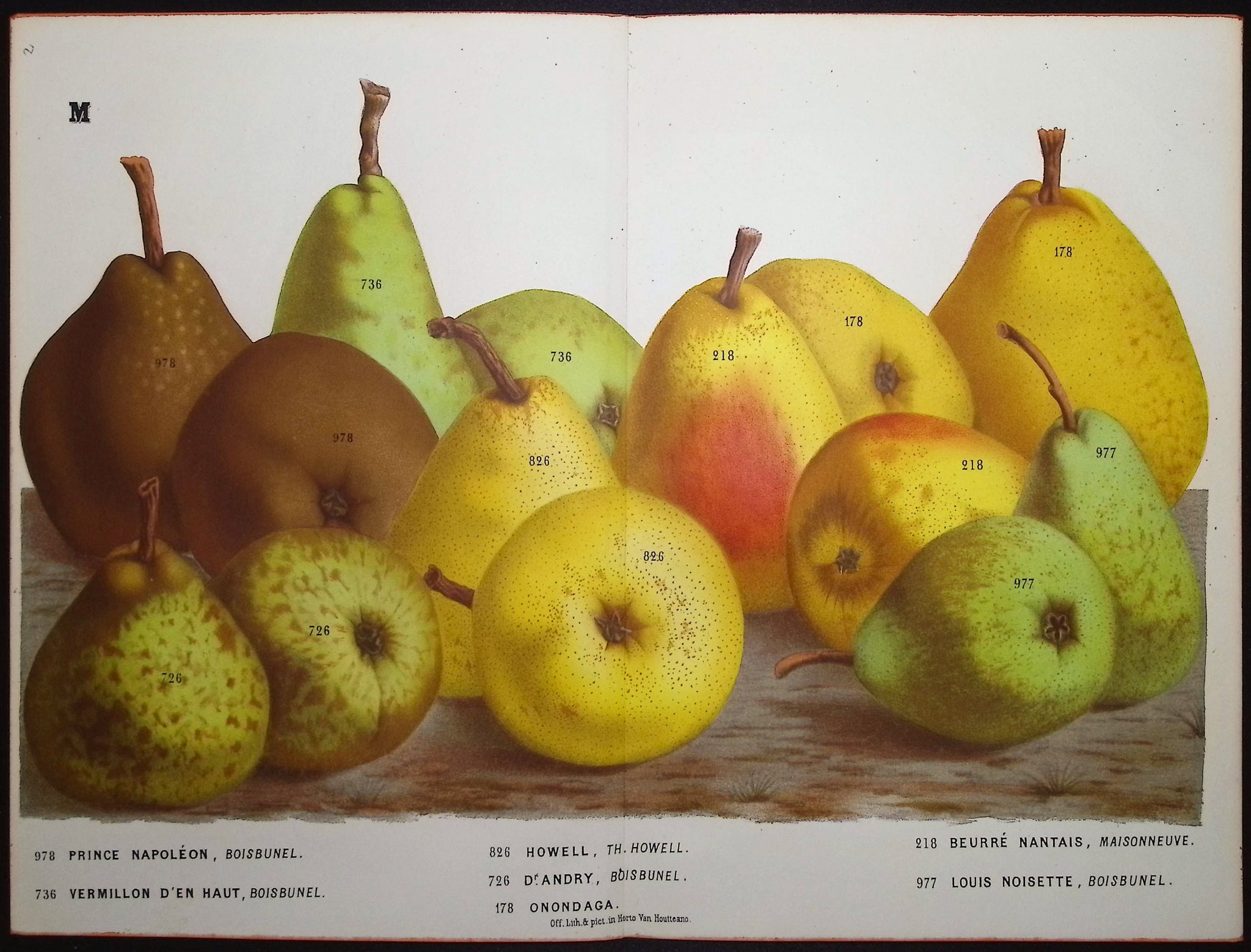 Pears