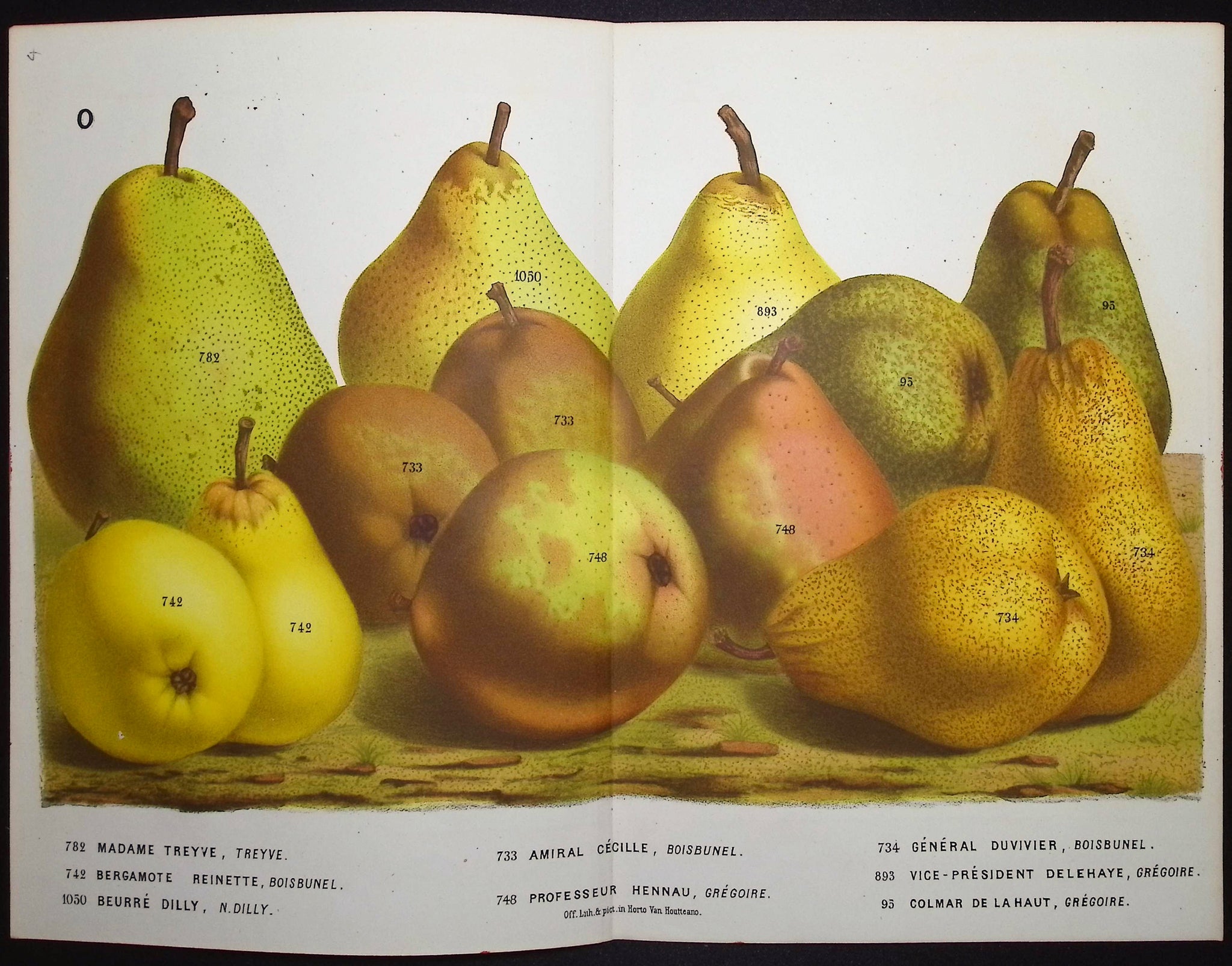 Pears