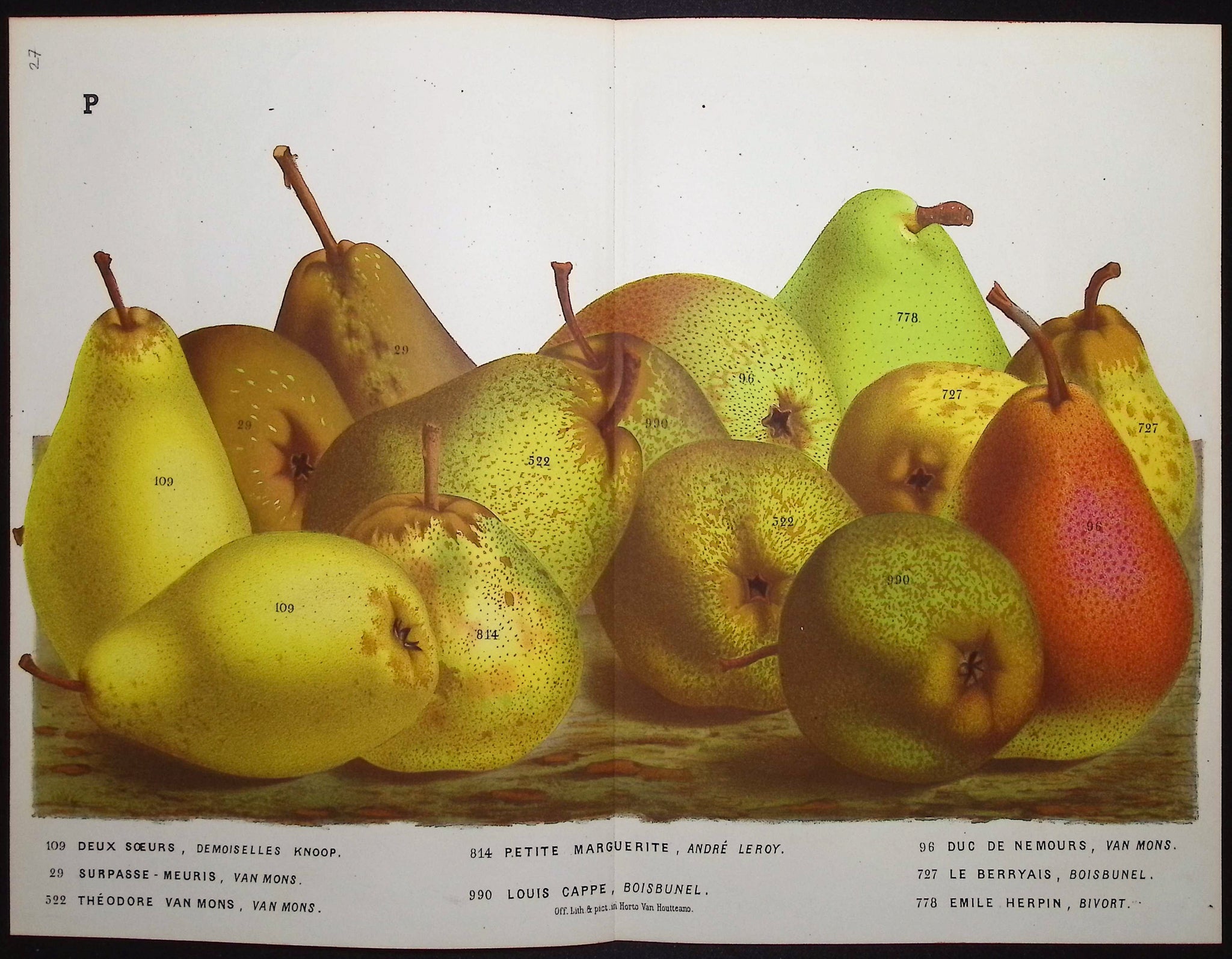Pears