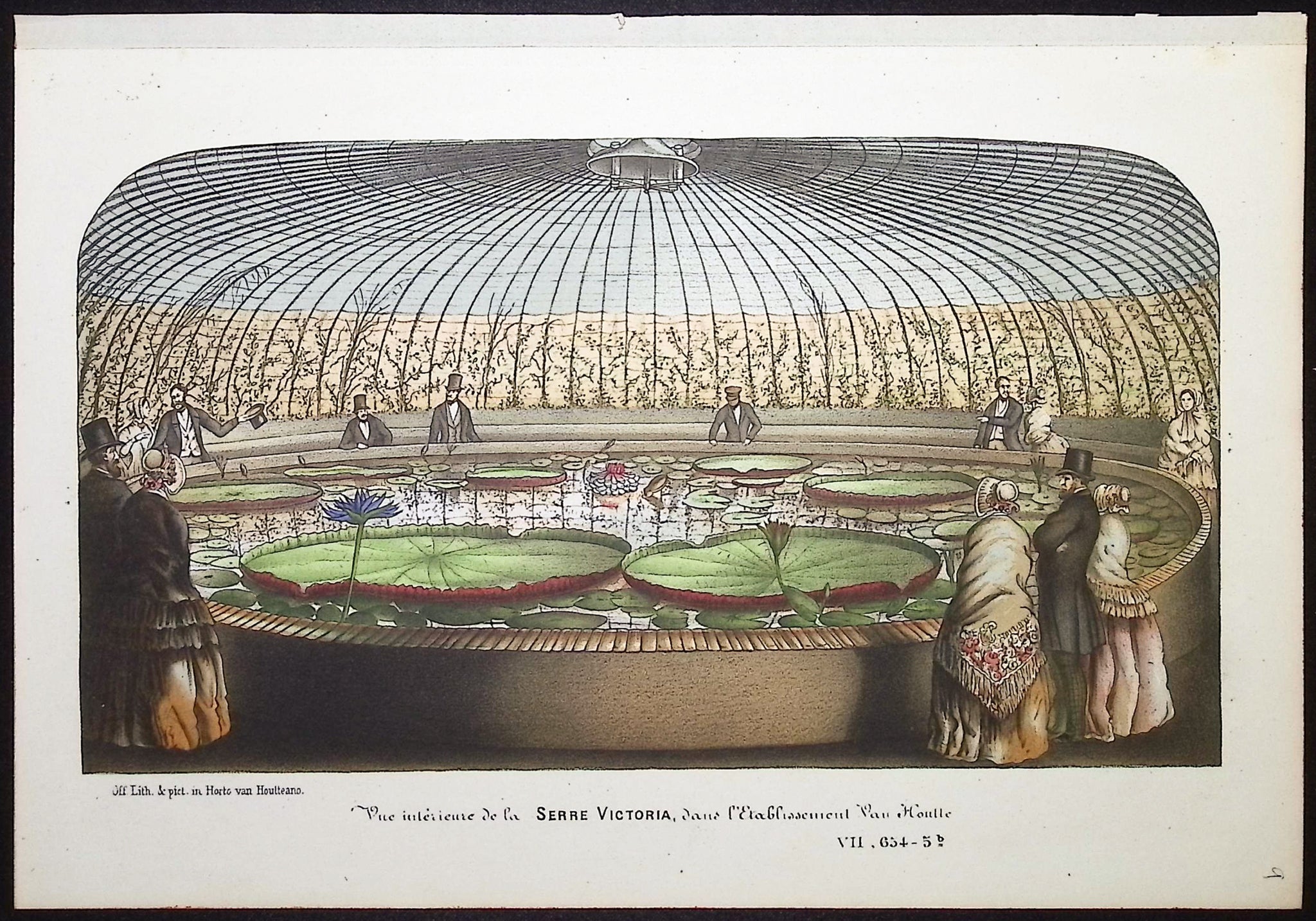 Water Lily Greenhouse