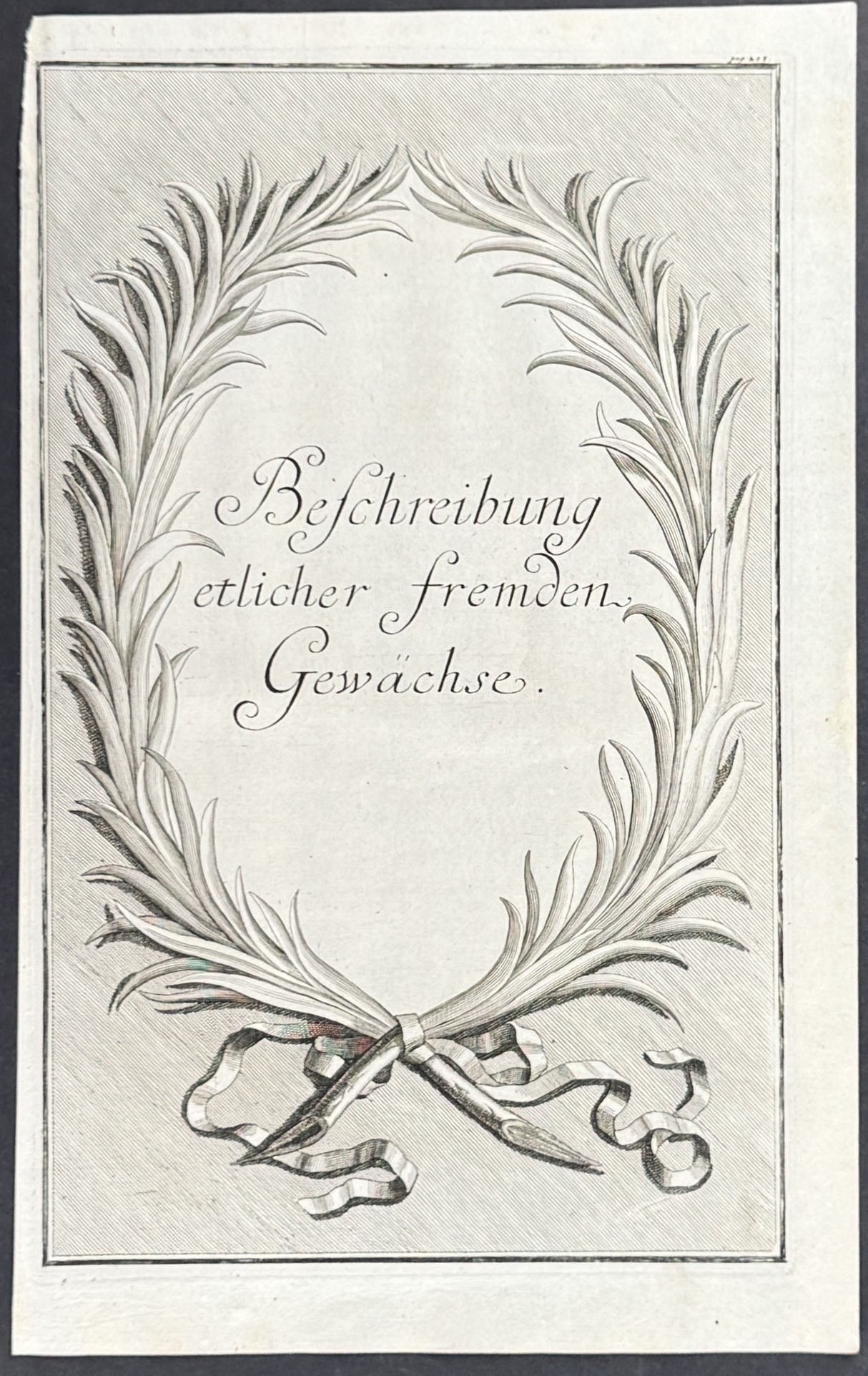 Citrus Branch Wreath - Befcheribung etlicher fremdem Gewachse