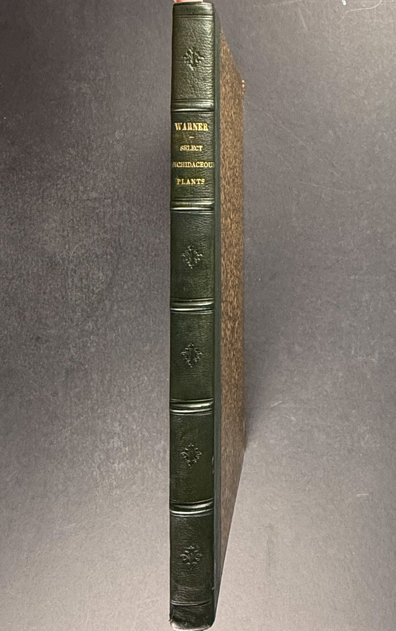 Warner & Williams's Orchidaceous Plants - Volume with 40 Folio Orchid Lithographs