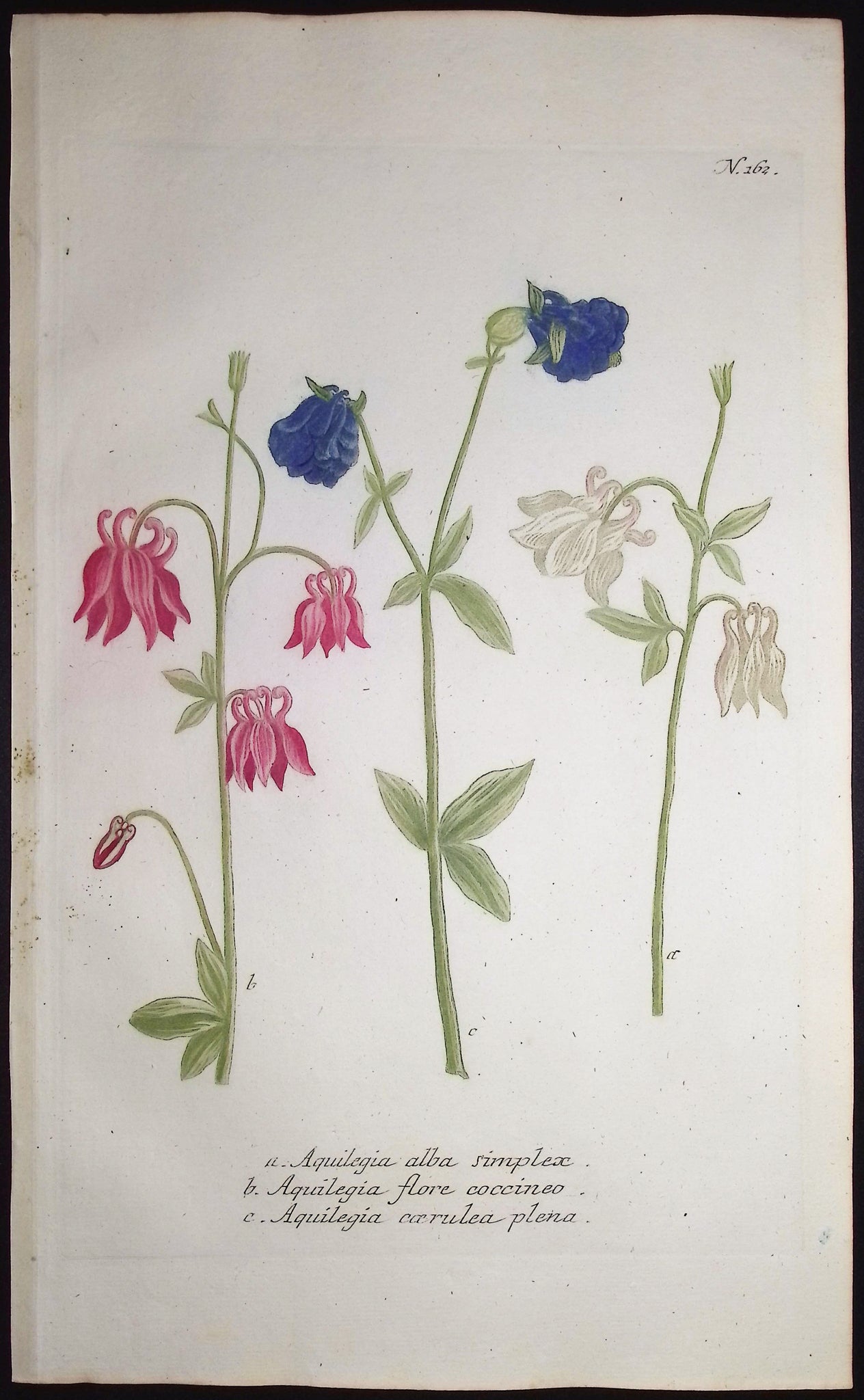 Columbine