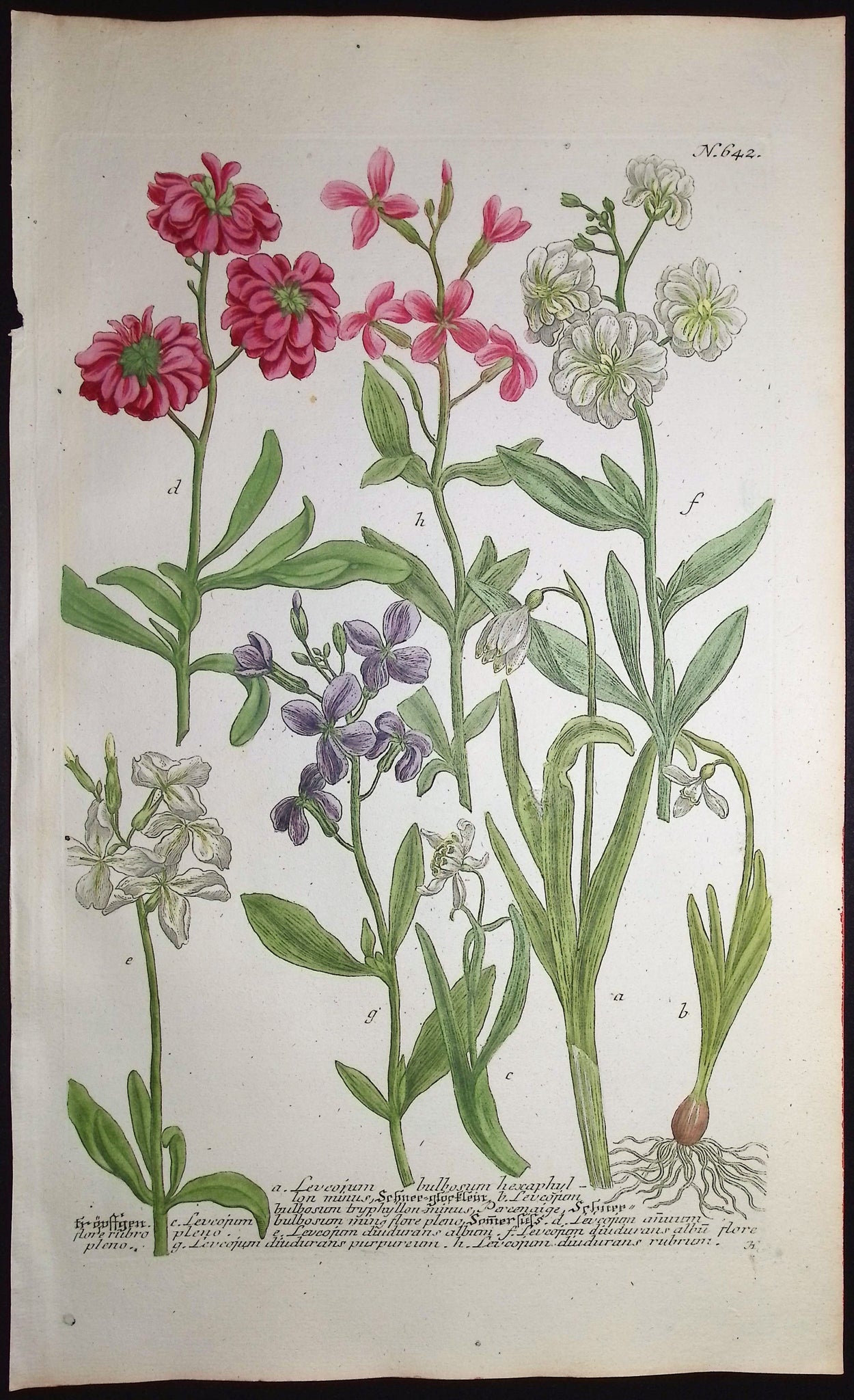 Snowflake Flowers
