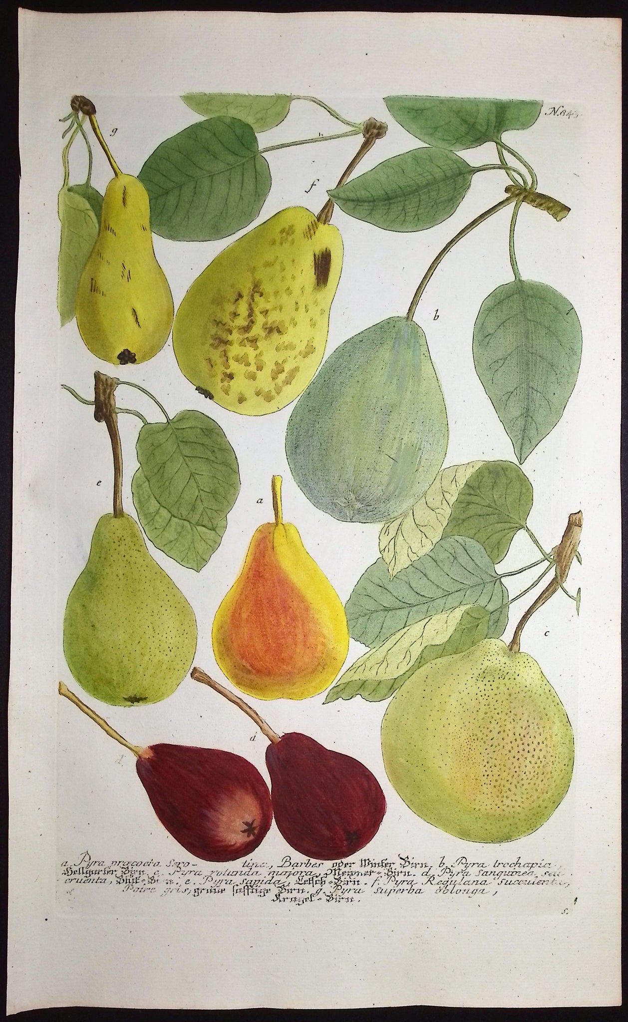 Pears