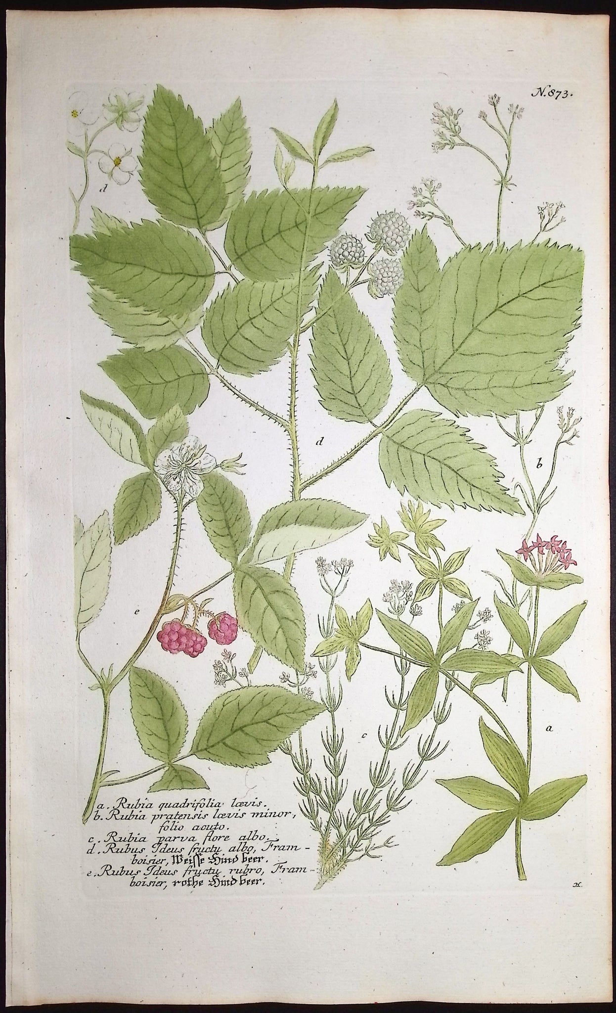 Raspberry