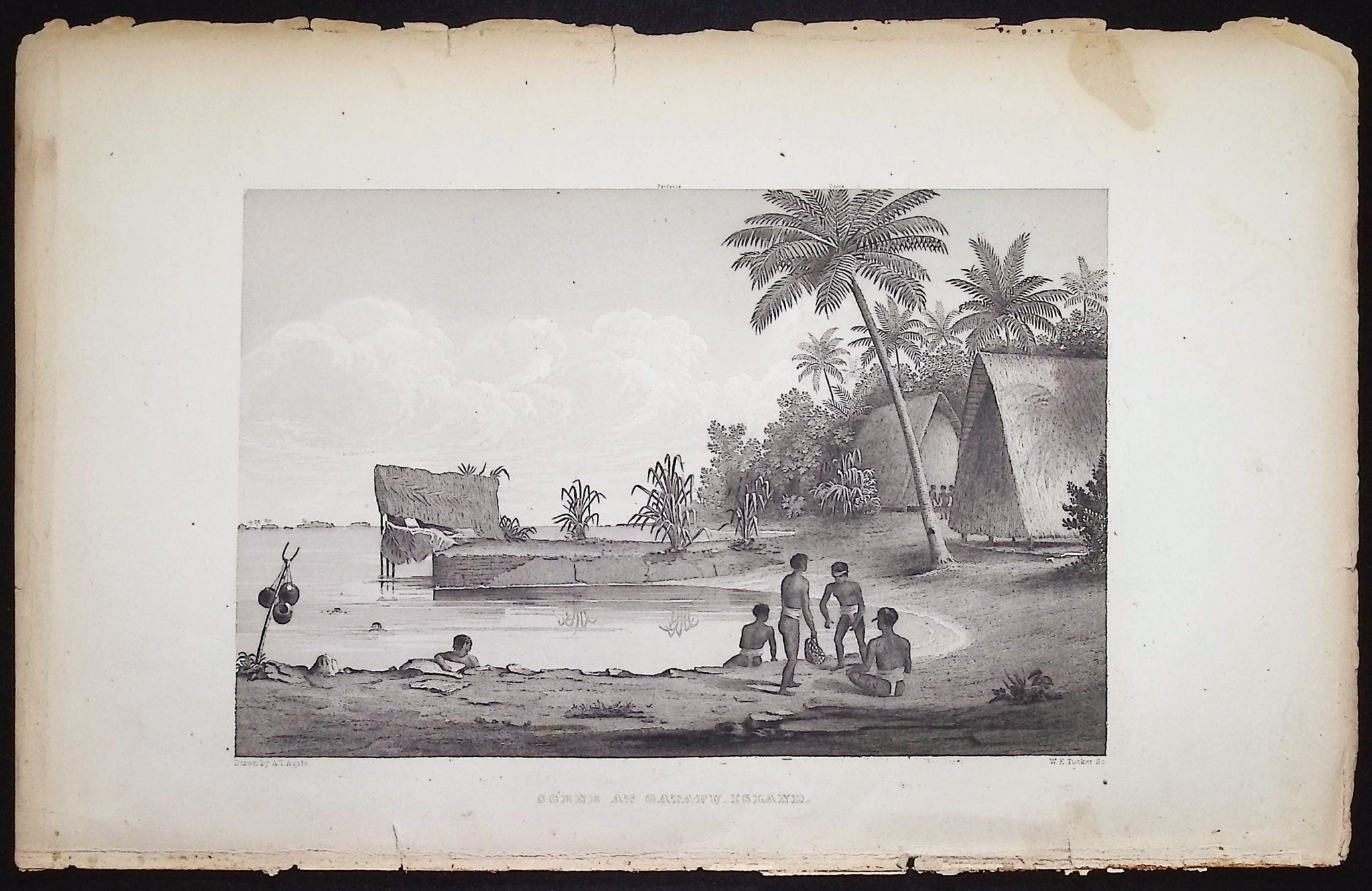 Scene at Oatafu Island (Hawaii)