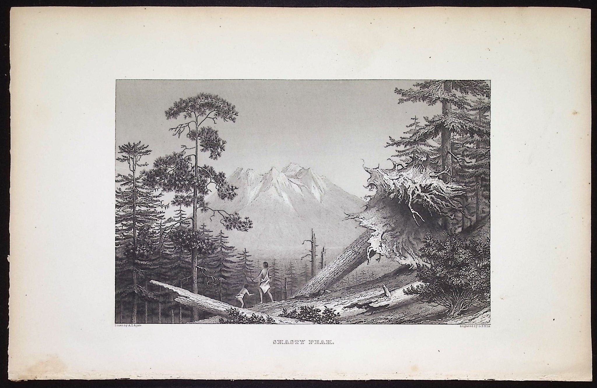 Shasty Peak (California)