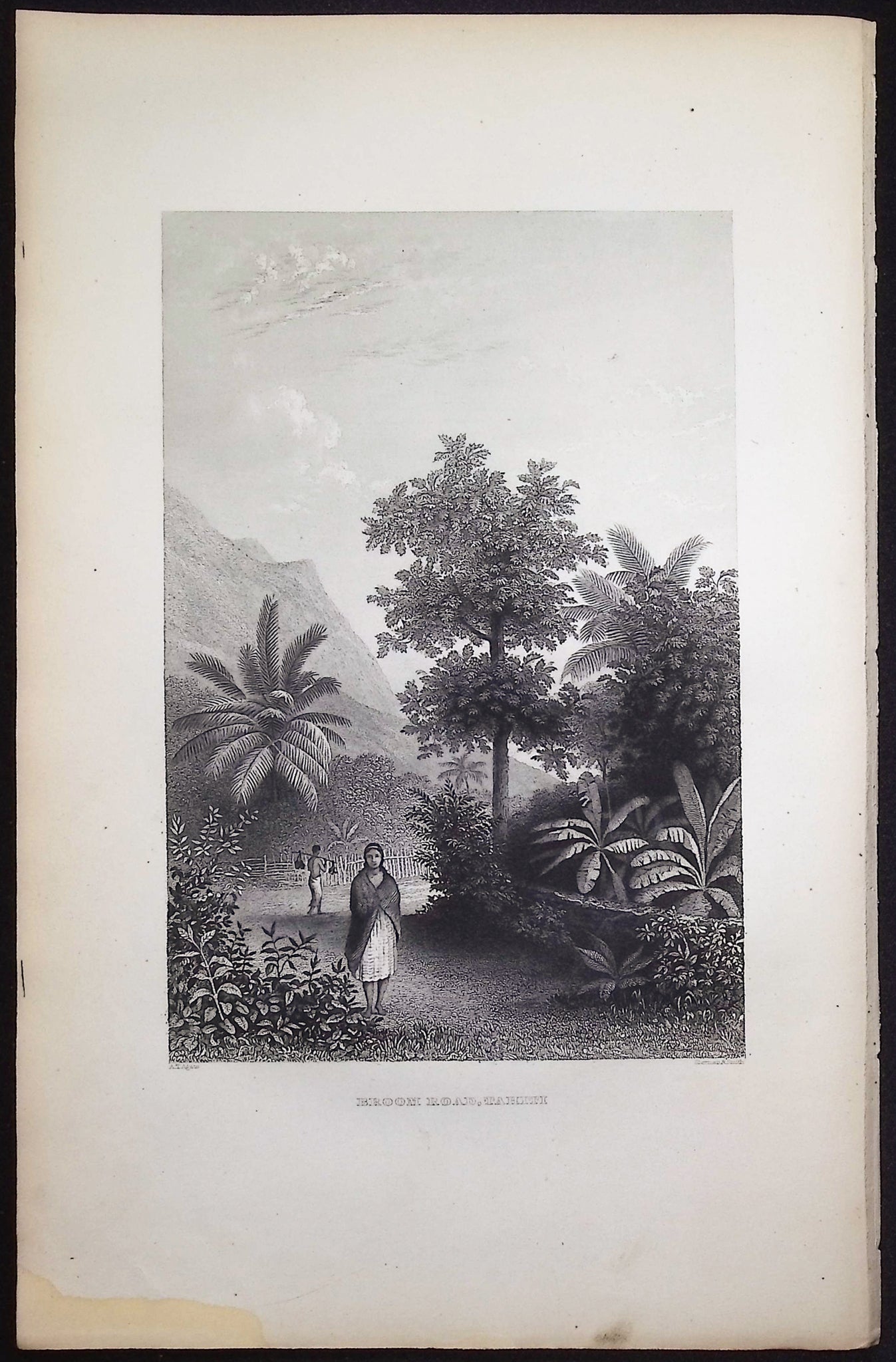 Broom Road, Tahiti