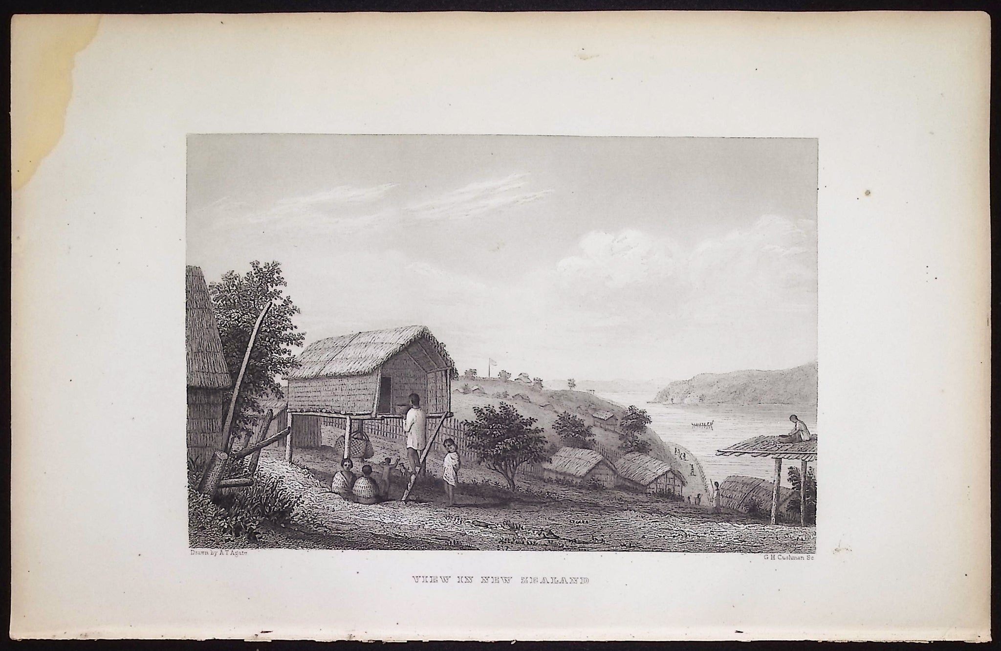View in New Zealand