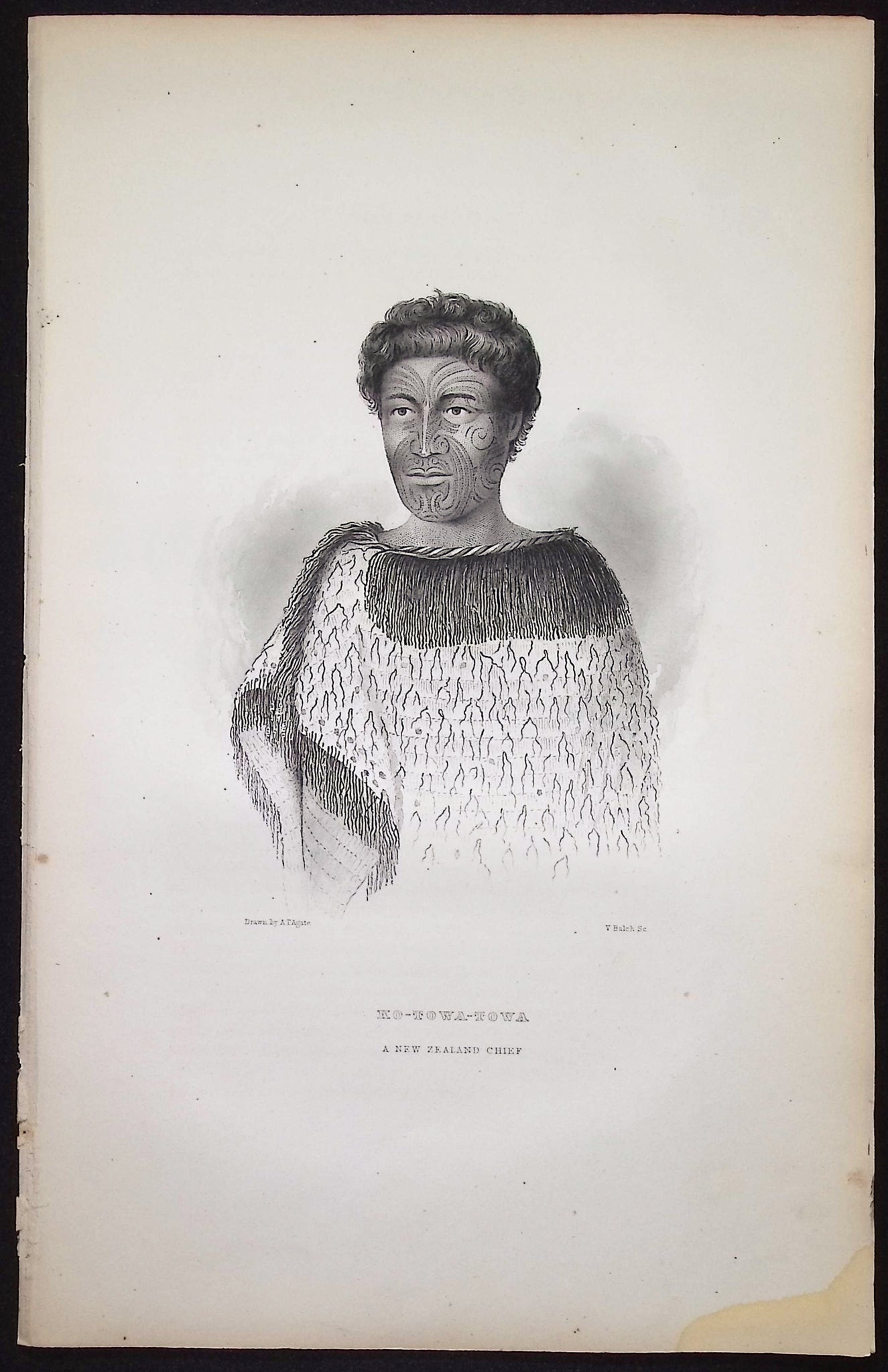 Ko-Towa-Towa, A New Zealand Chief