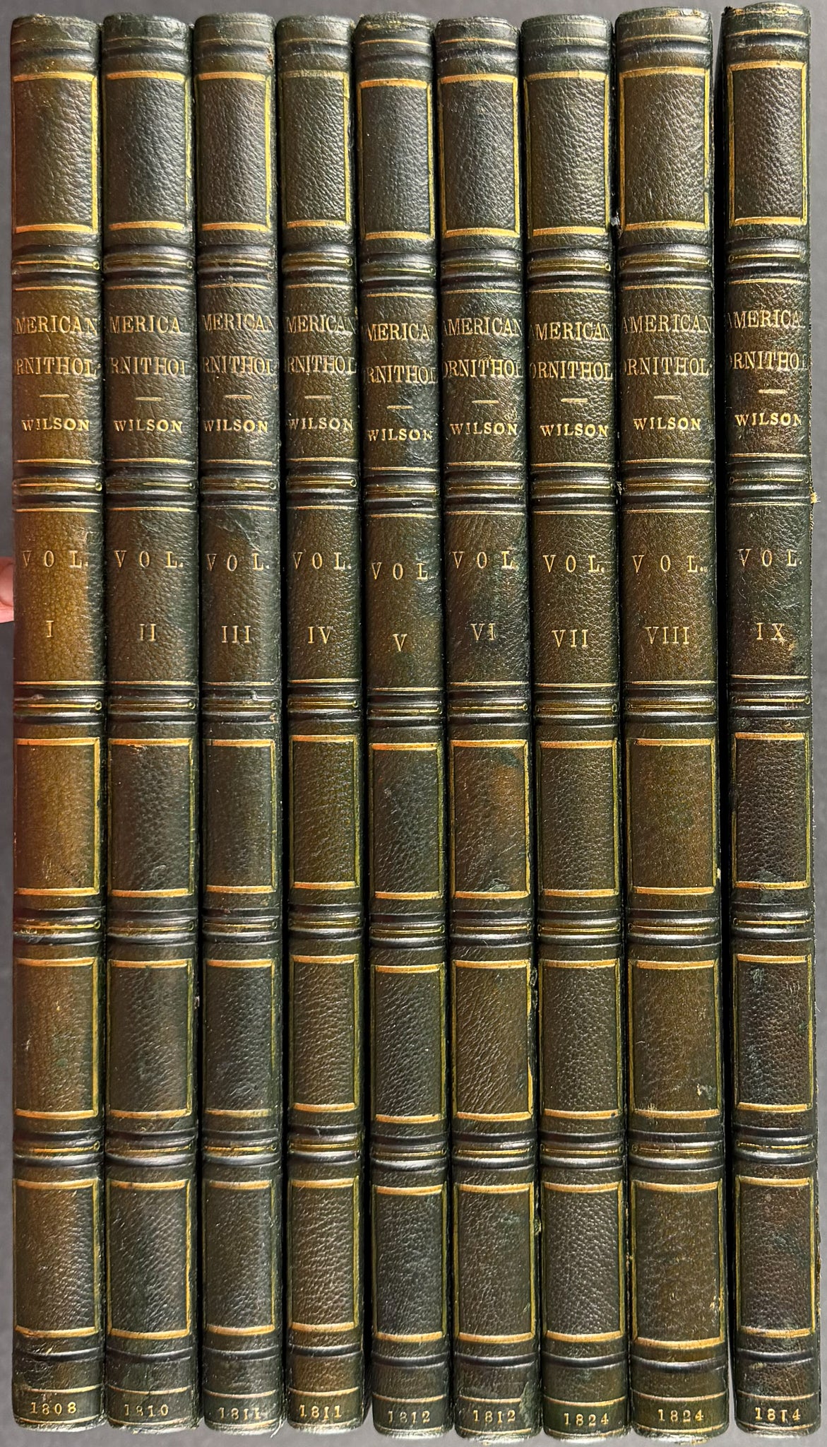 American Ornithology; or, the Natural History of the Birds of the United States