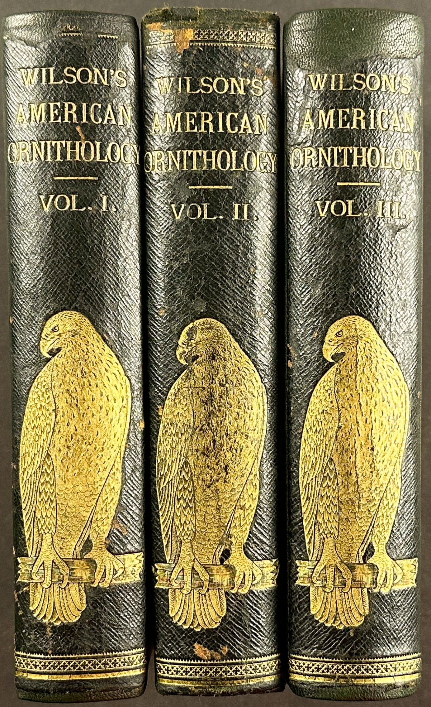 American Ornithology; or the Natural History of the Birds of the United States